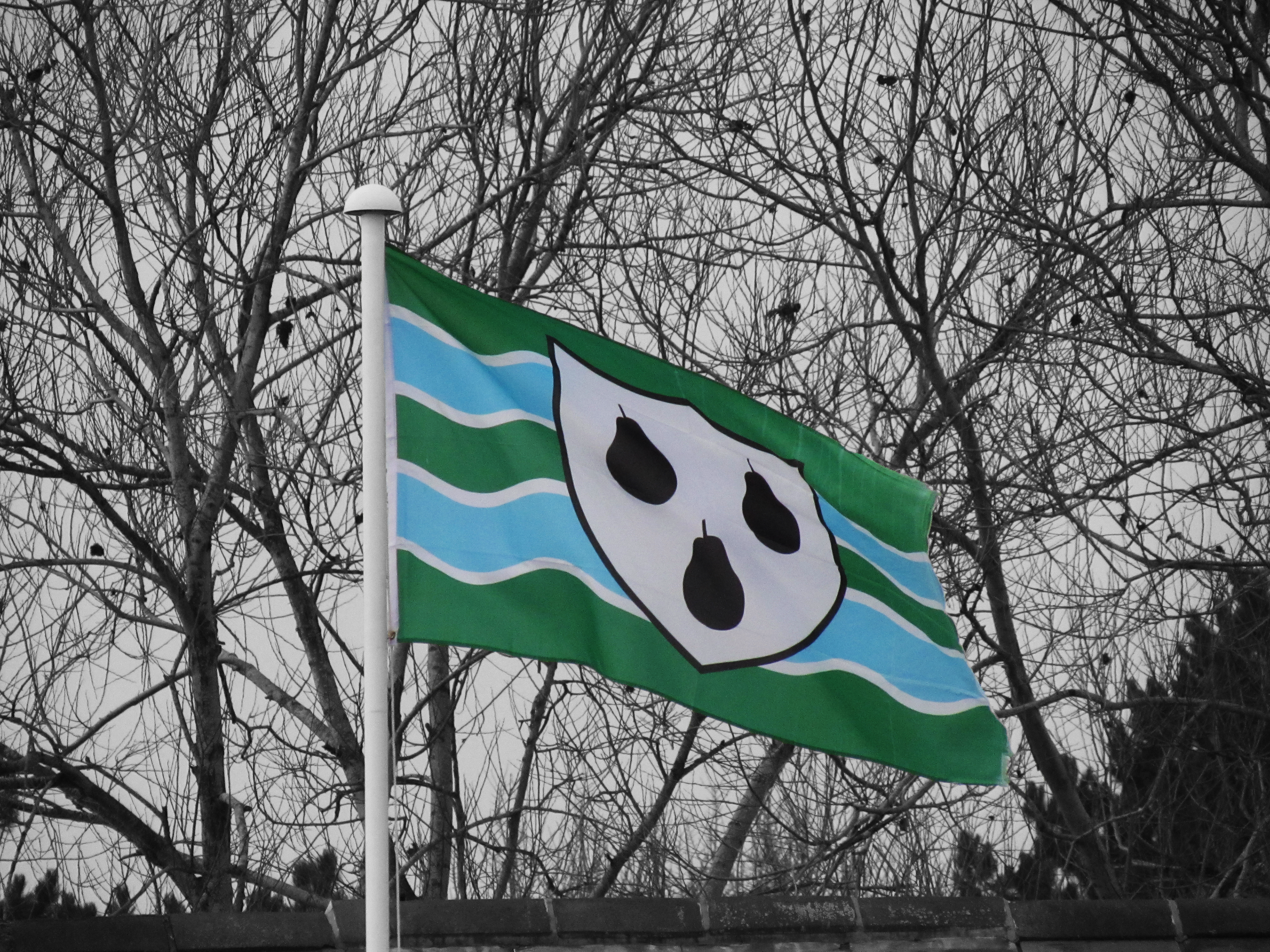 Flag of Worcestershire