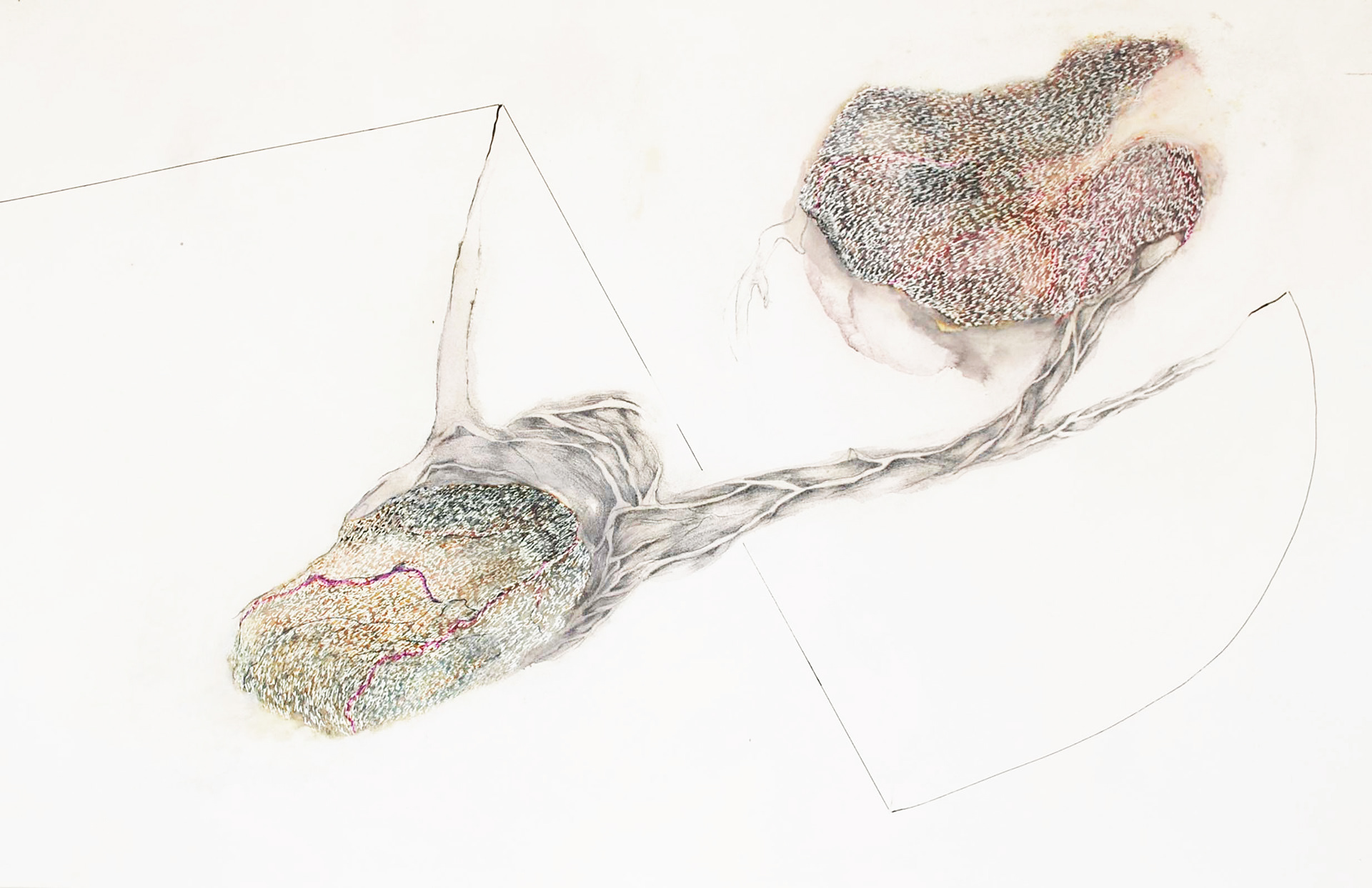 drawing 2011/ 60x80cm/ paper/ mixed media