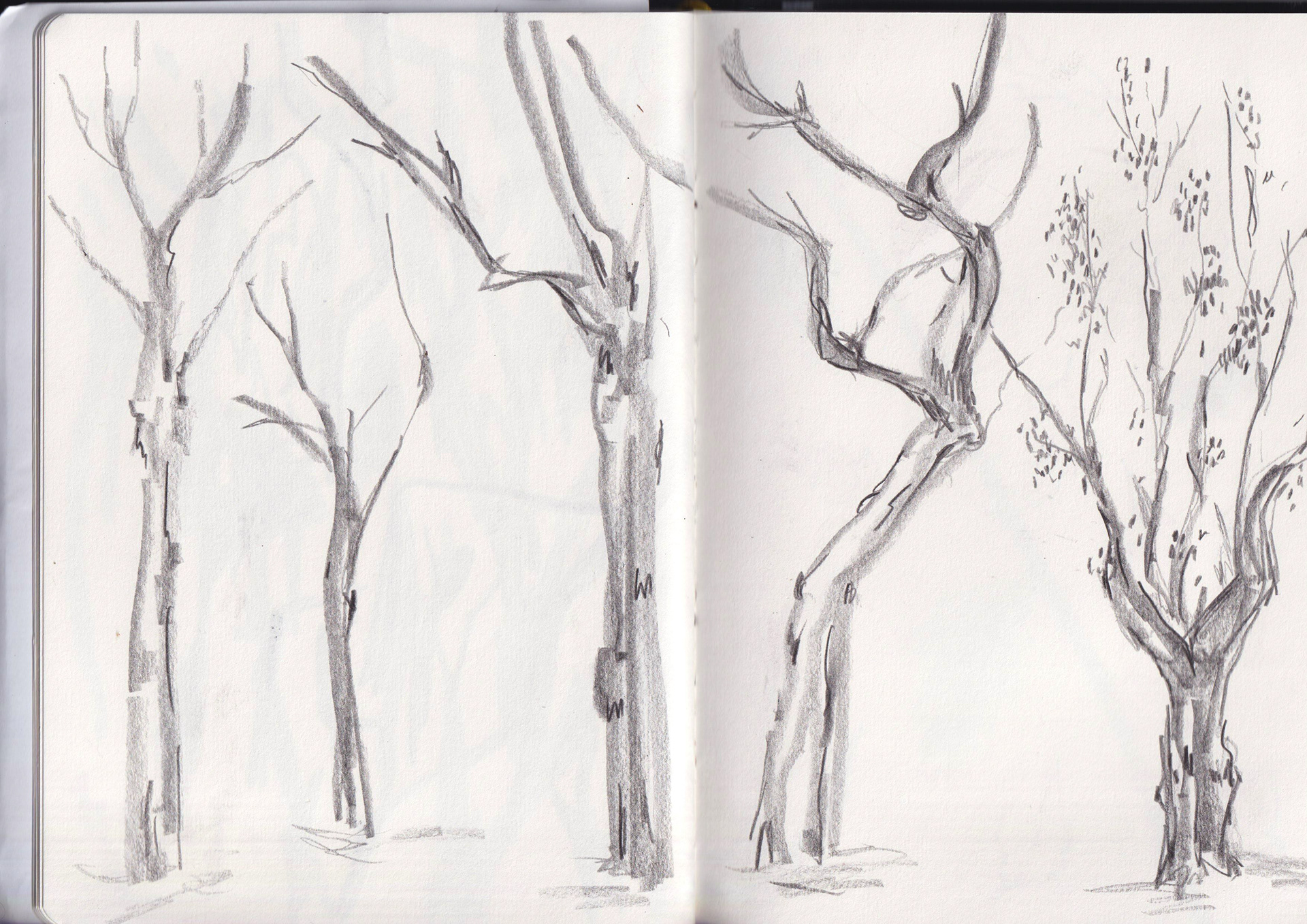 Location drawing