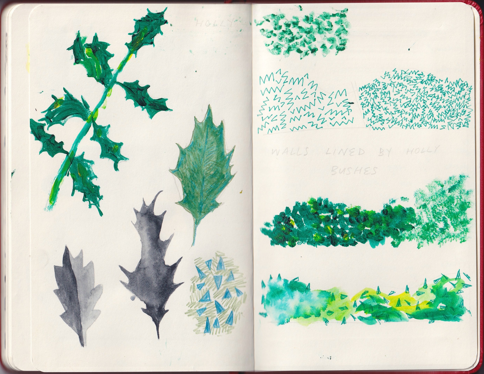 Sketchbook: holly