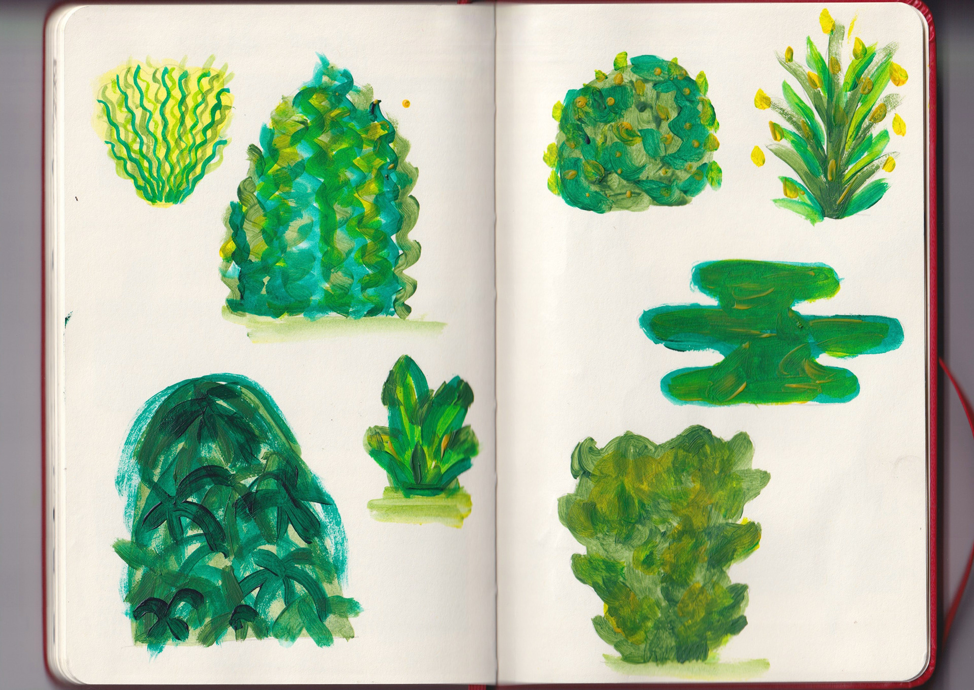 Sketchbook: shrubs