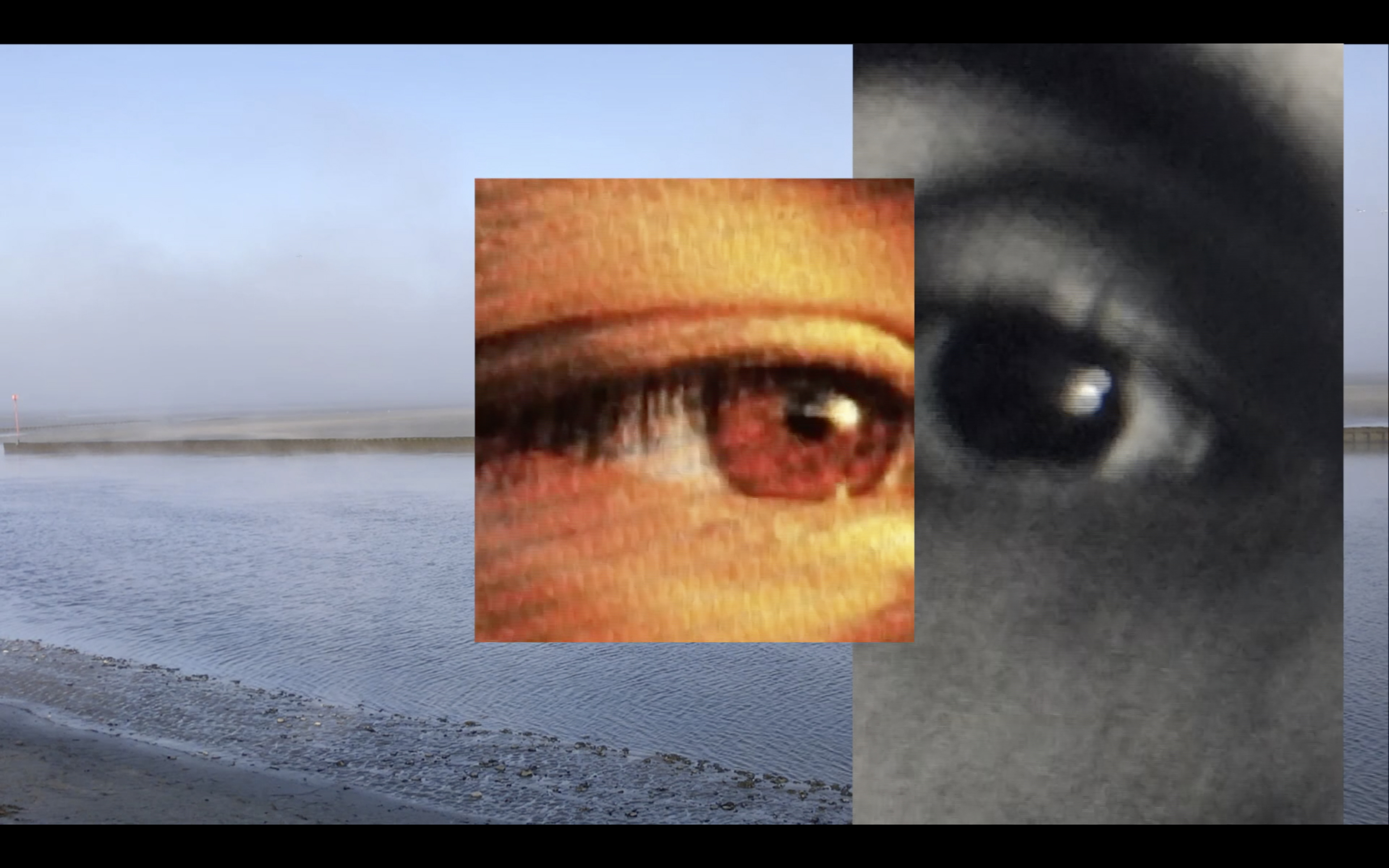 Tanaquil Dirand, Capture d'écran 2020 année numérique, 2020, projection vidéo et sonore, 2min18.
