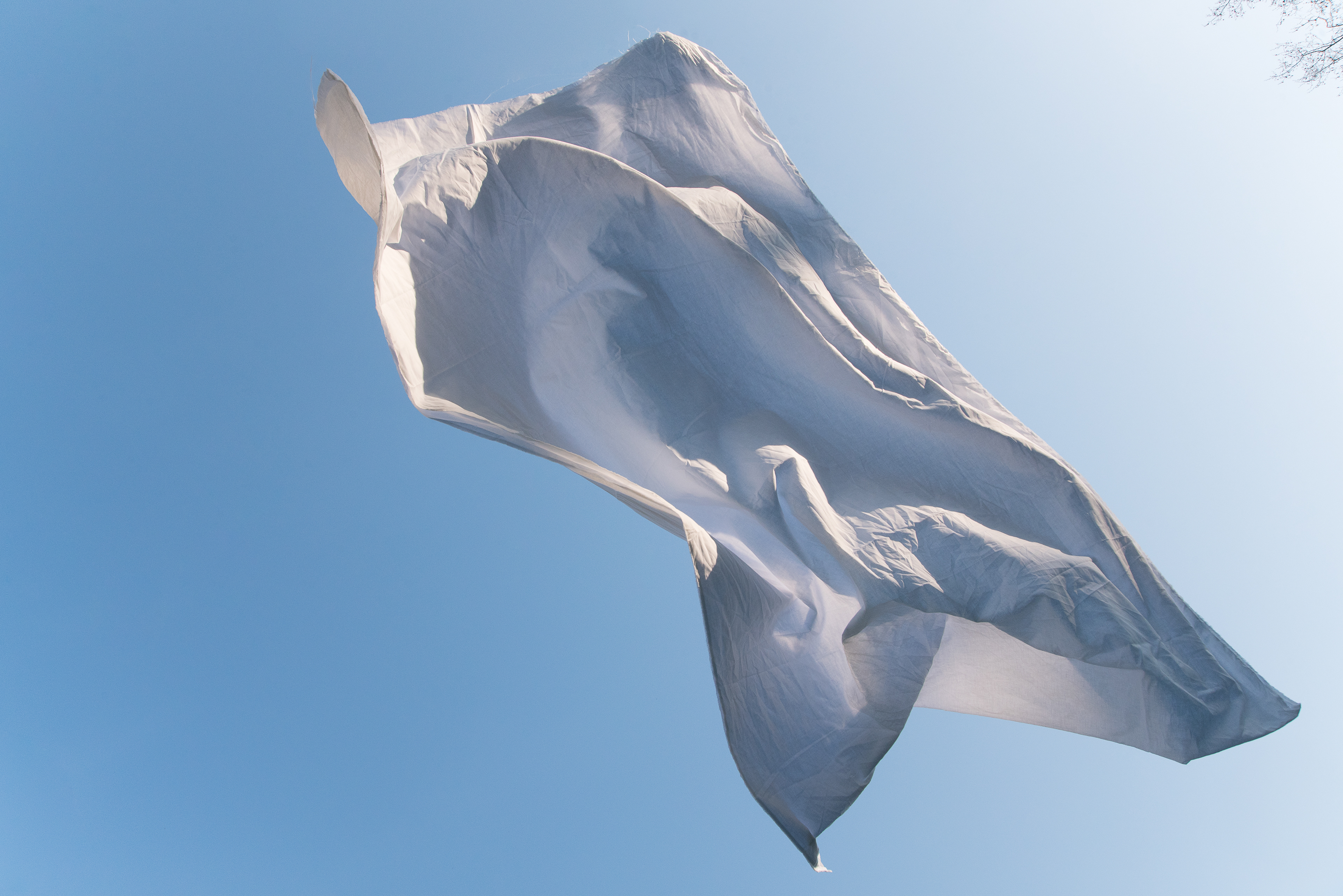 Elena Groud, Extimité 1 - corps, 2019, impression Latex sur papier dos bleu 125g, 200 x 133,5 cm