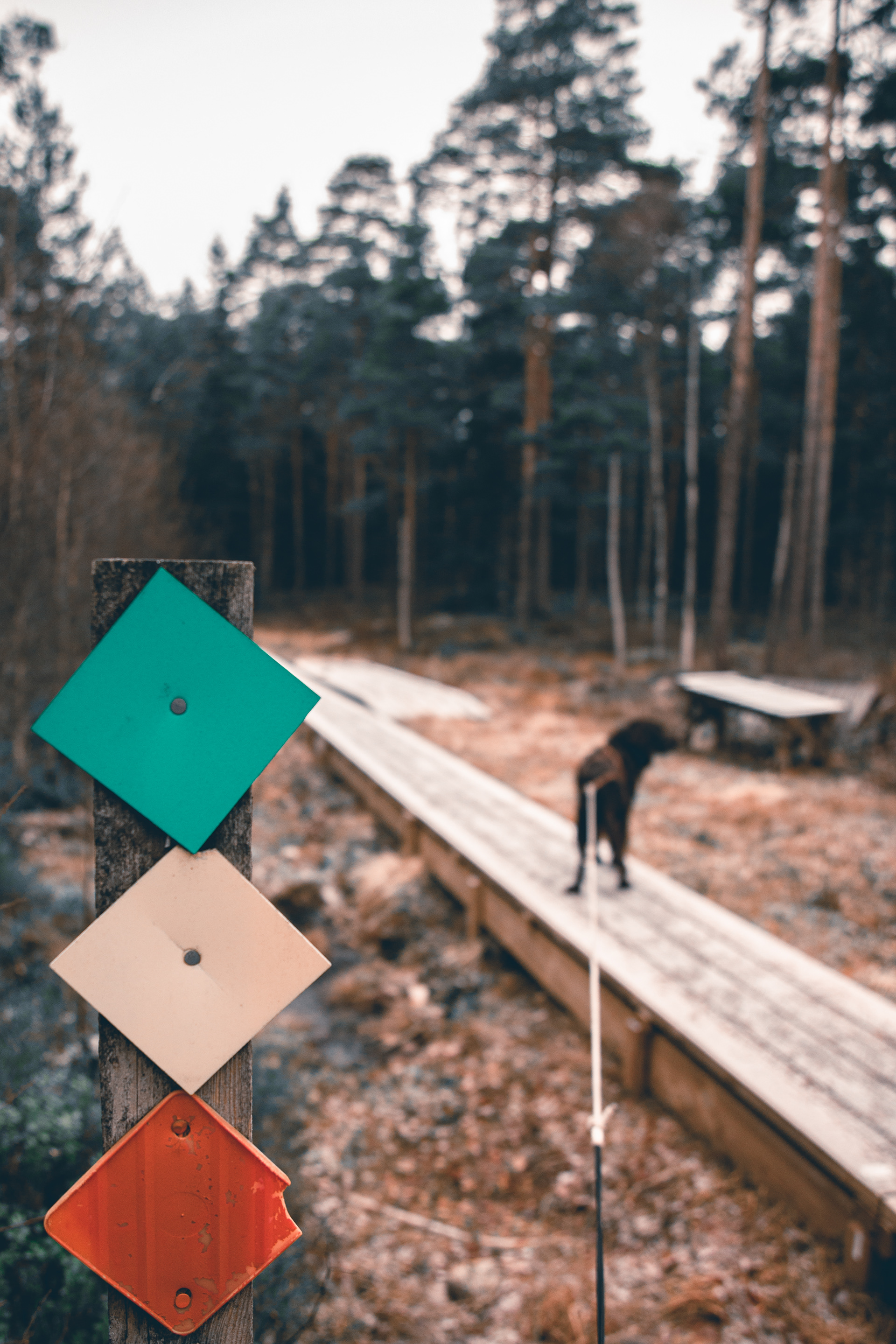 Decemberpromenad