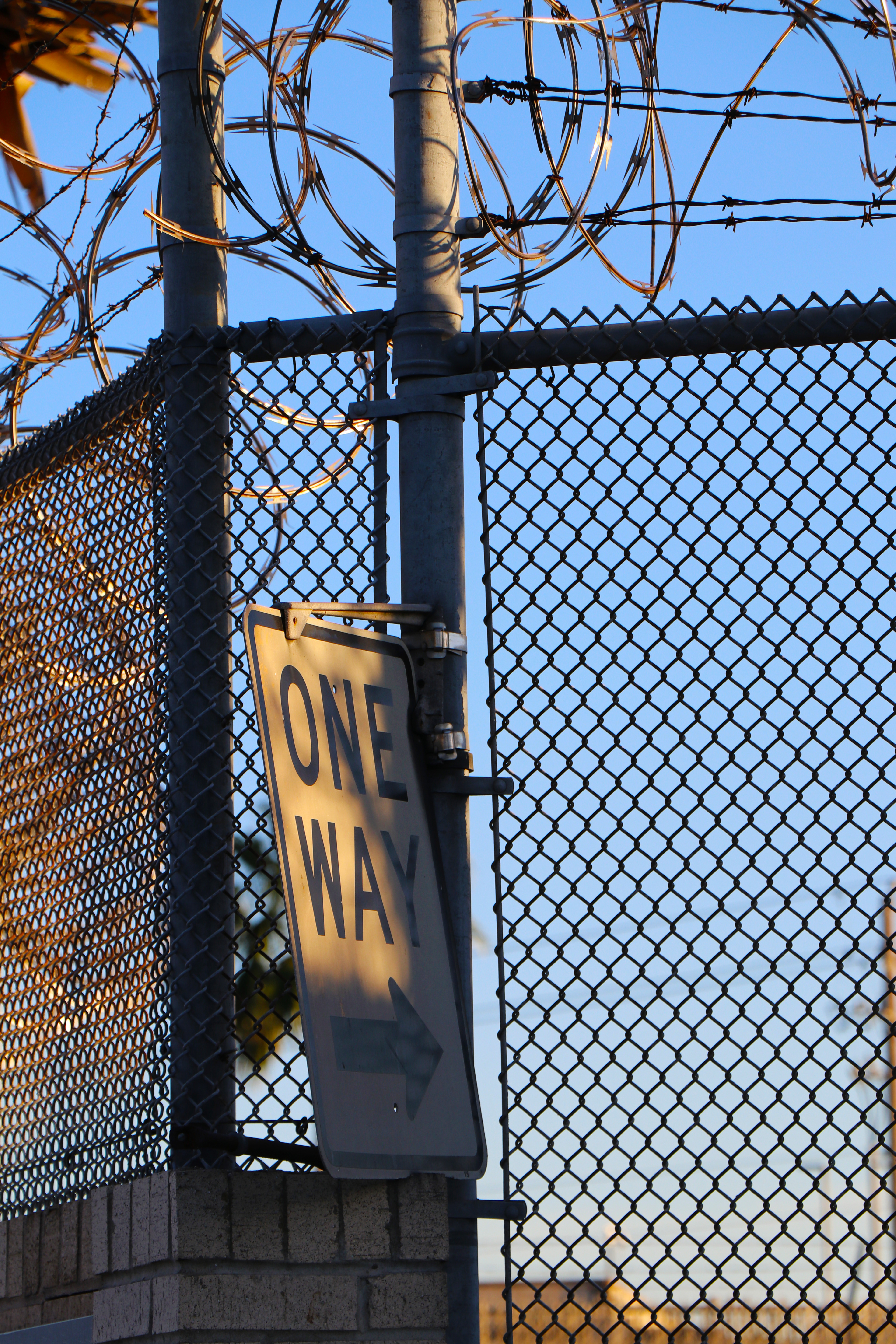 MPP Tent Court complex in US Customs and Border Protection parking lot