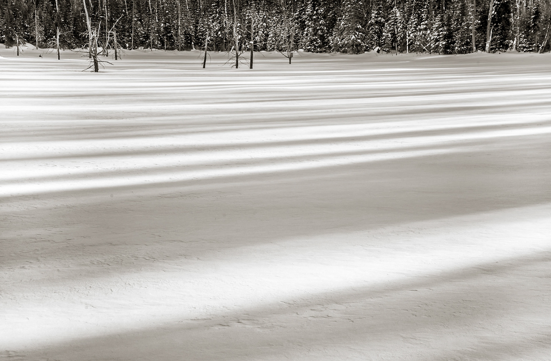 Long lines of shadows from an evening sun cross a flat snowy expanse