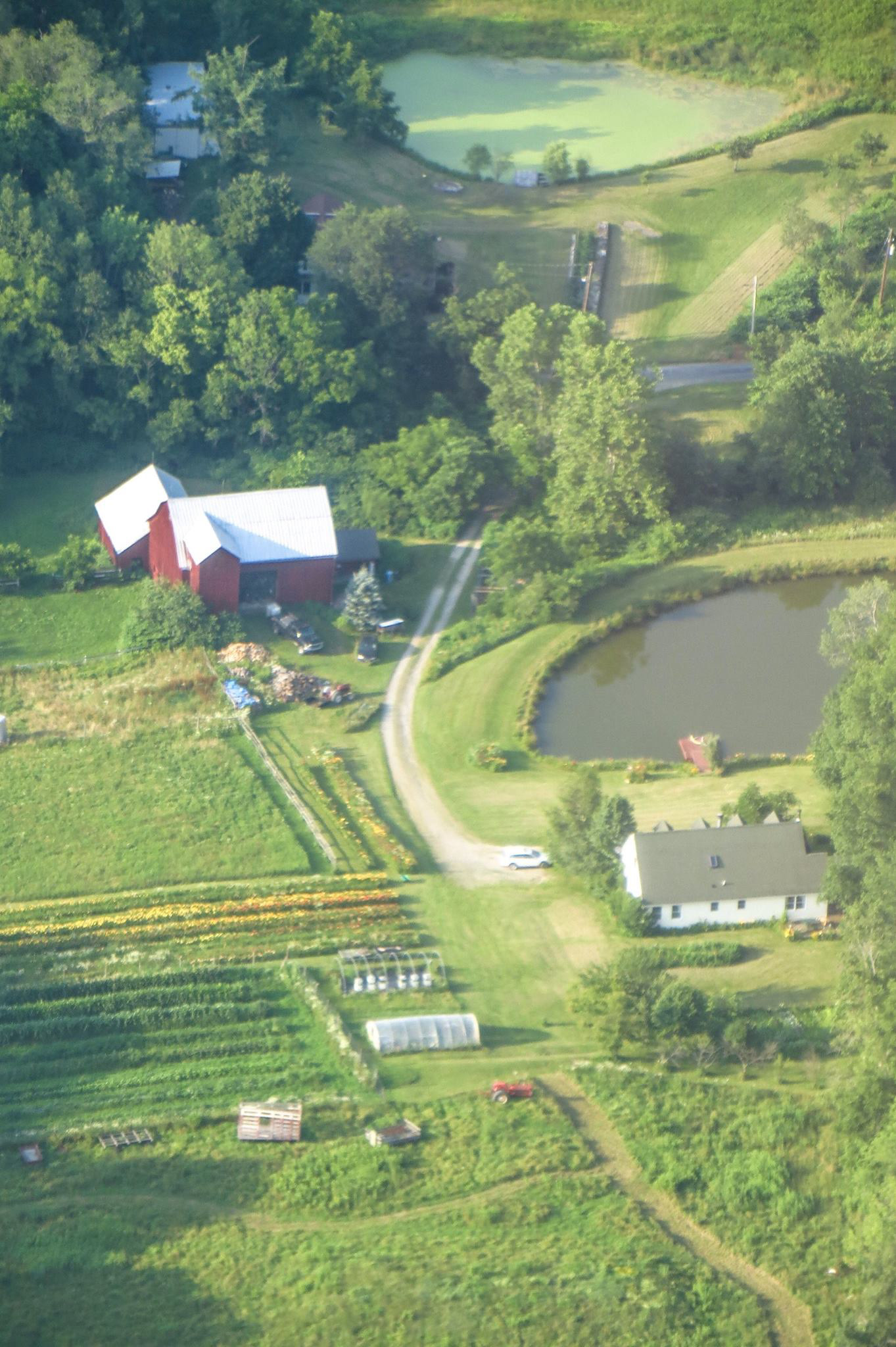 Home, Pond, Barn & Flower Farm For Sale The Property