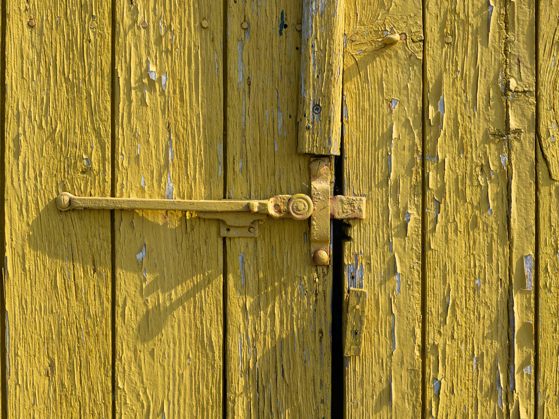 Cabane d'ostréiculteur à Château d'Oléron.