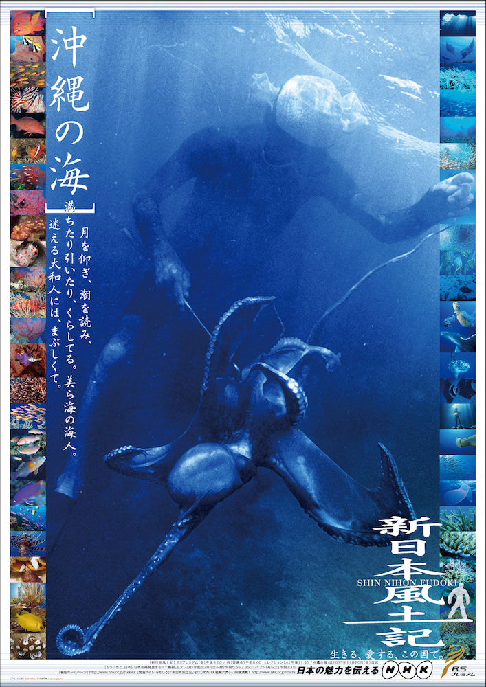 海人写真家 古谷千佳子 Nhk 新日本風土記 沖縄の海 海人写真家 古谷千佳子 Nhk 新日本風土記 沖縄の海