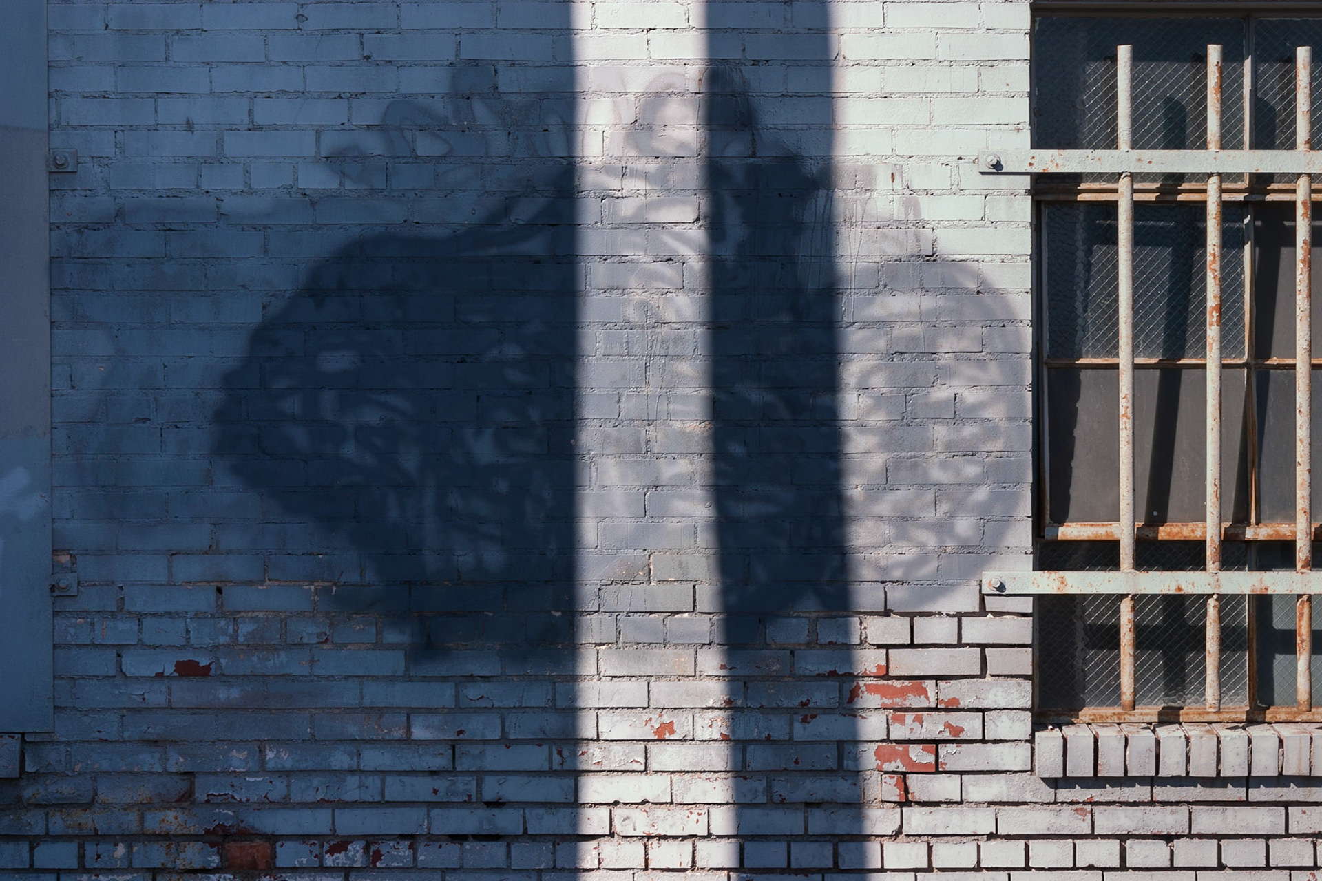 Detag No. 229, 84115; Digital photograph; © 2010