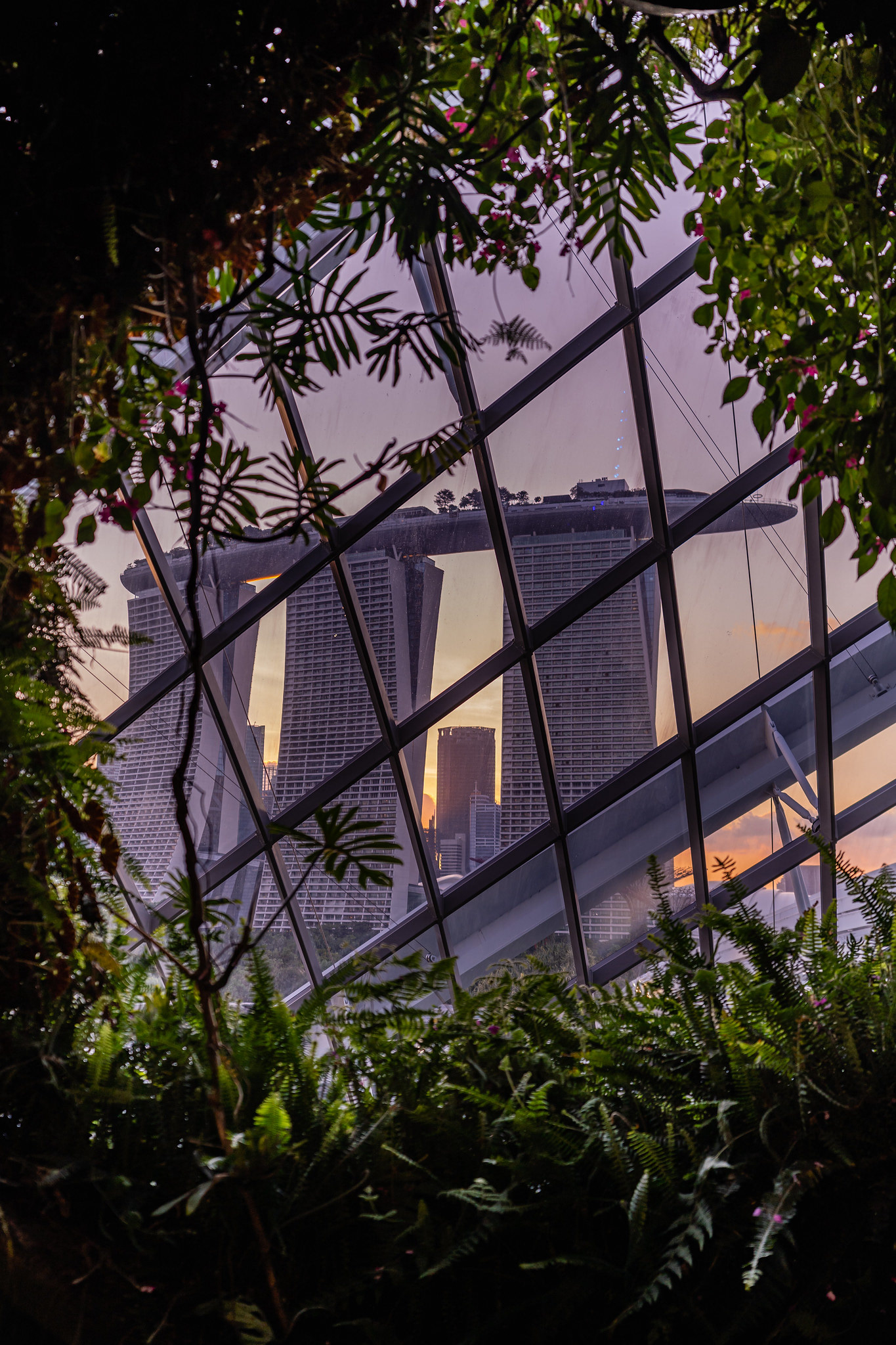 Marina Bay Sands from the Cloud Forest