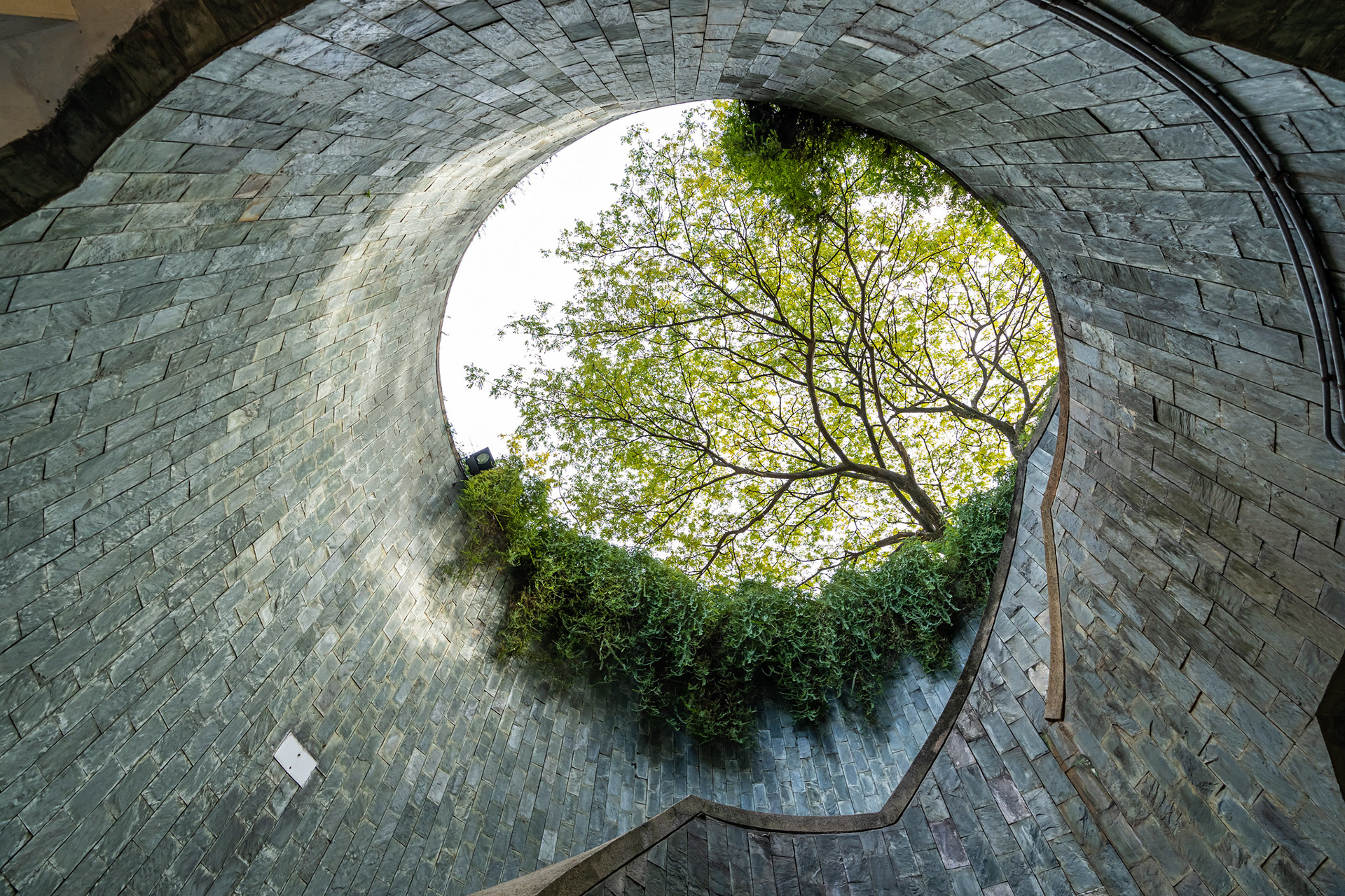 Fort Canning Park Spiral Staircase (2021)