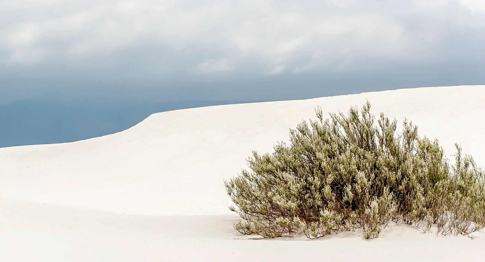 White Sands National Monument, New Mexico. Rising from the heart of the Tularosa Basin is one of the world's great natural wonders - the glistening white sands of New Mexico. Great wave-like dunes of gypsum sand have engulfed 275 square miles of desert, creating the world's largest gypsum dunefield. White Sands National Monument preserves a major portion of this unique dunefield, along with the plants and animals that live here.