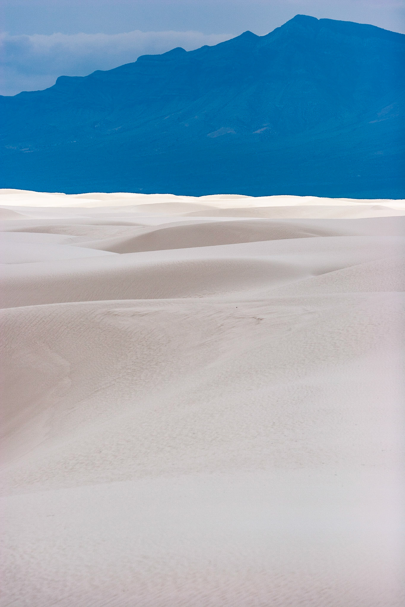 White Sands National Monument, New Mexico. Rising from the heart of the Tularosa Basin is one of the world's great natural wonders - the glistening white sands of New Mexico. Great wave-like dunes of gypsum sand have engulfed 275 square miles of desert, creating the world's largest gypsum dunefield. White Sands National Monument preserves a major portion of this unique dunefield, along with the plants and animals that live here.