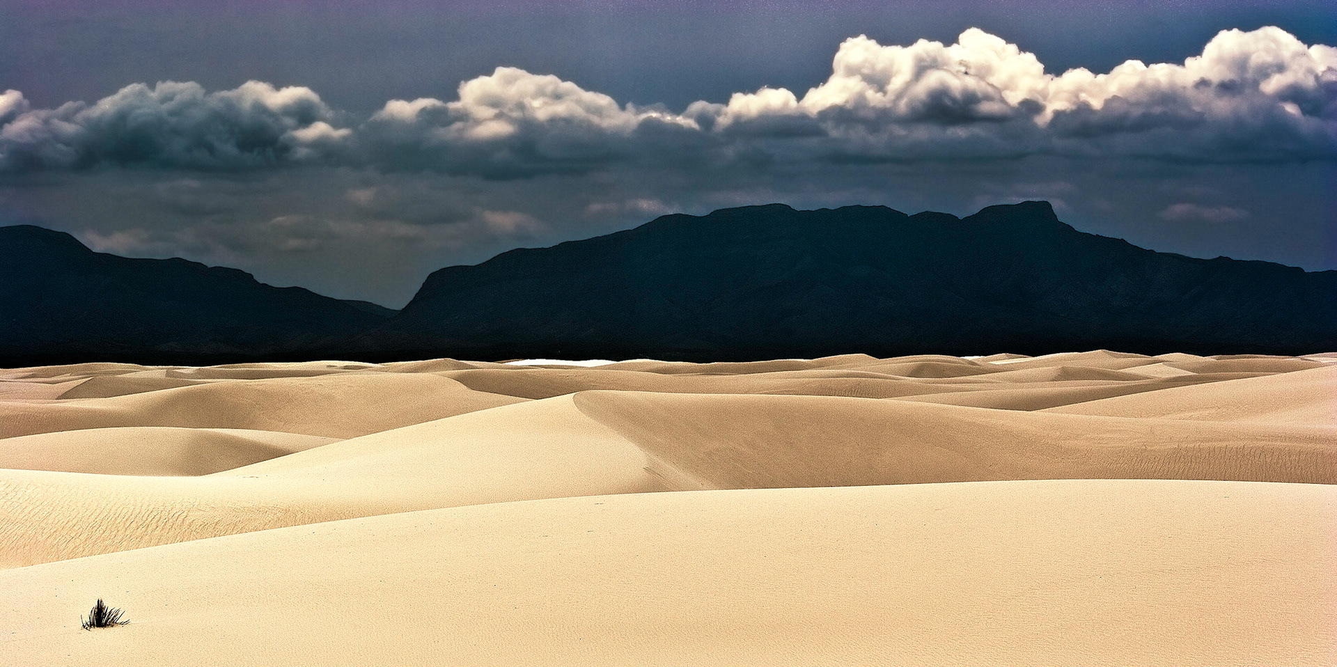 White Sands National Monument, New Mexico. Rising from the heart of the Tularosa Basin is one of the world's great natural wonders - the glistening white sands of New Mexico. Great wave-like dunes of gypsum sand have engulfed 275 square miles of desert, creating the world's largest gypsum dunefield. White Sands National Monument preserves a major portion of this unique dunefield, along with the plants and animals that live here.
