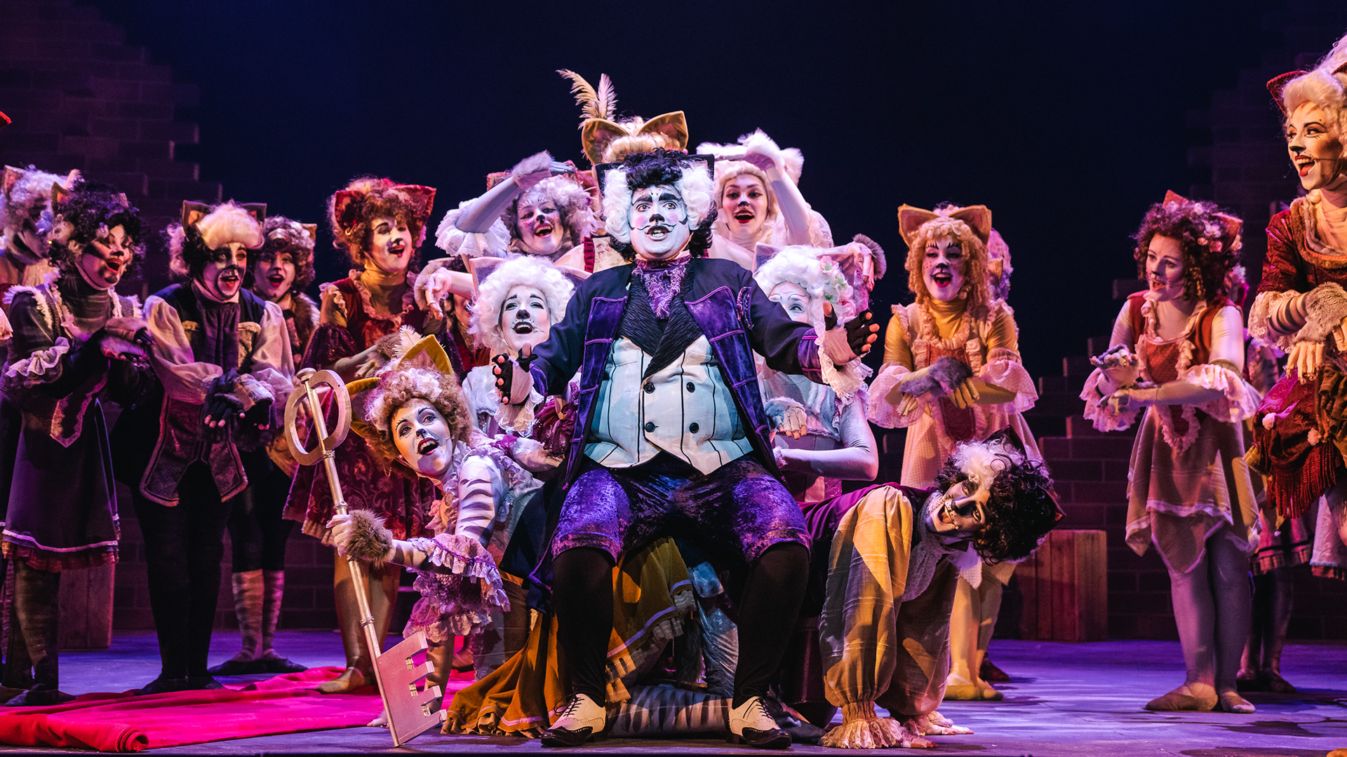 Cats The Musical