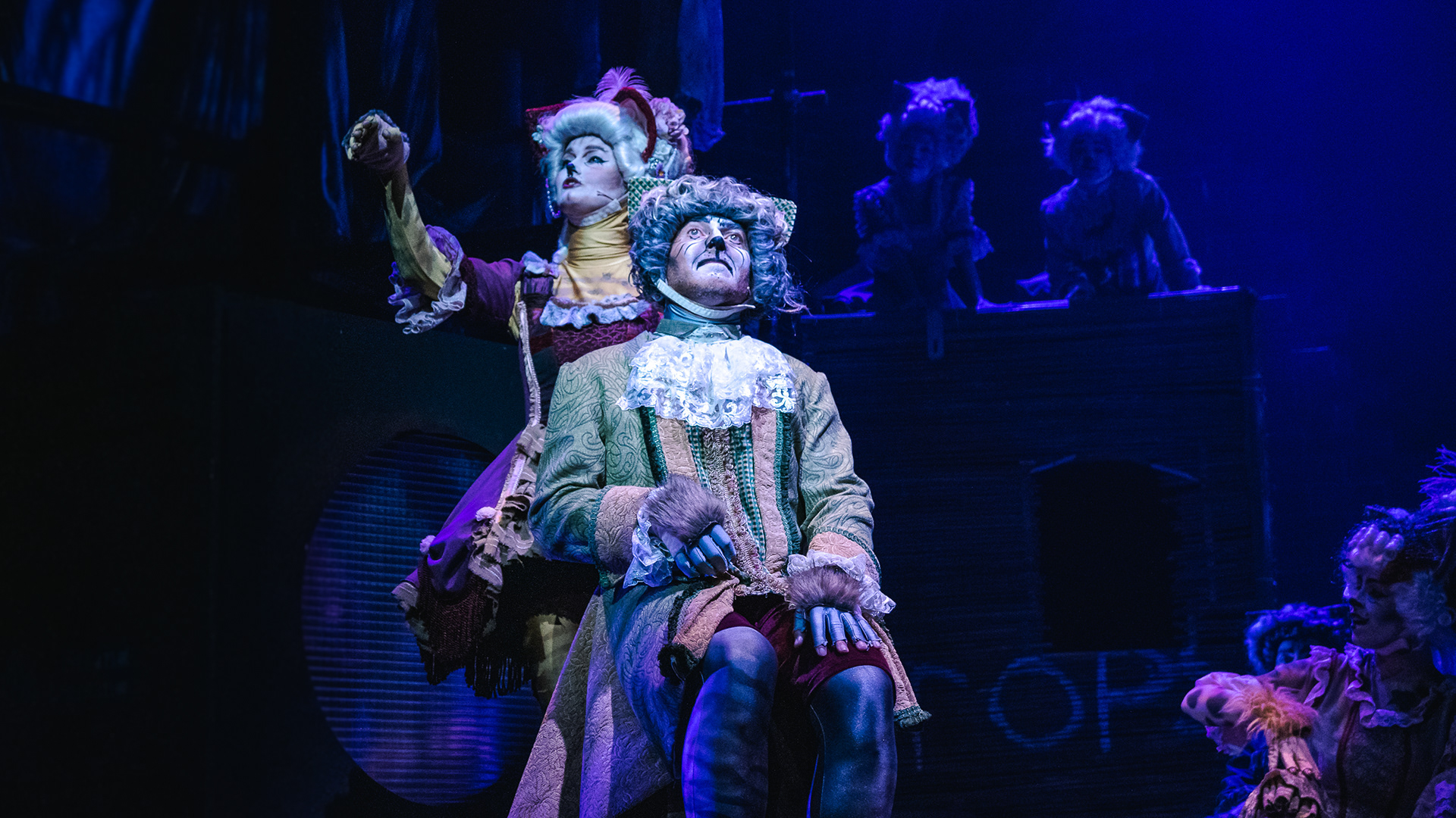 Cats The Musical