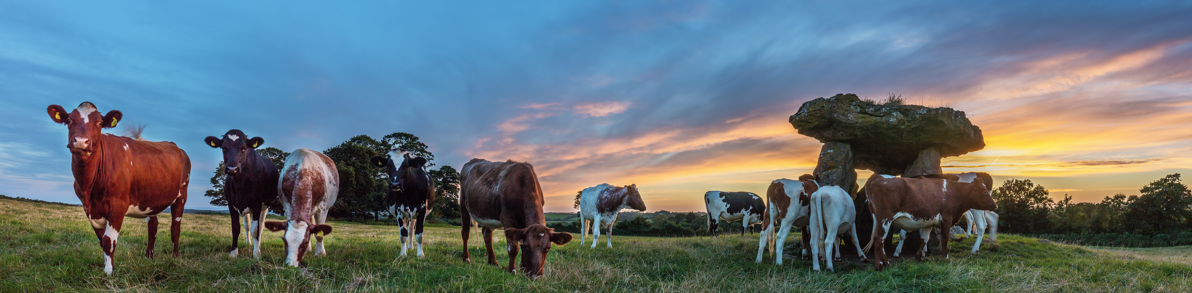 St Lythans Burial Chamber Panorama