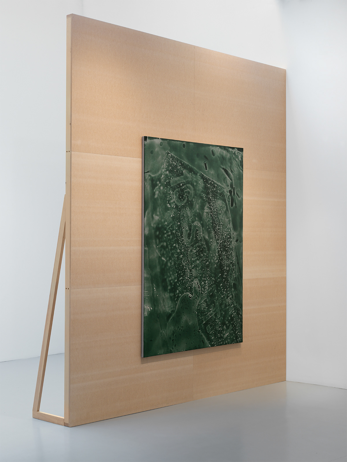 Cast (Object Model) 2013 PBK31 (perylene green-black) pigment and urethane paint on canvas 80 by 56 in.