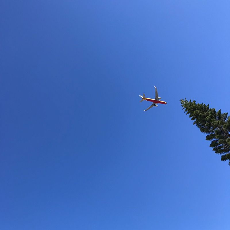 Ambiguation is landing soon