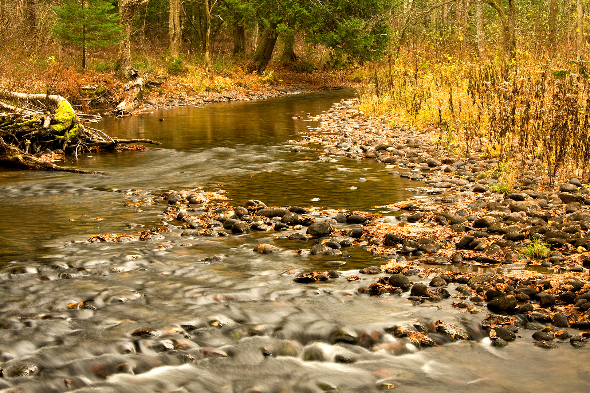 Chris Lepard Spanish River, Ontario