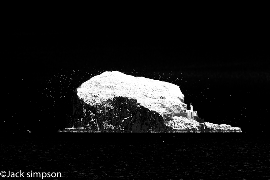Infra Red image of Bass Rock taken from North Berwick