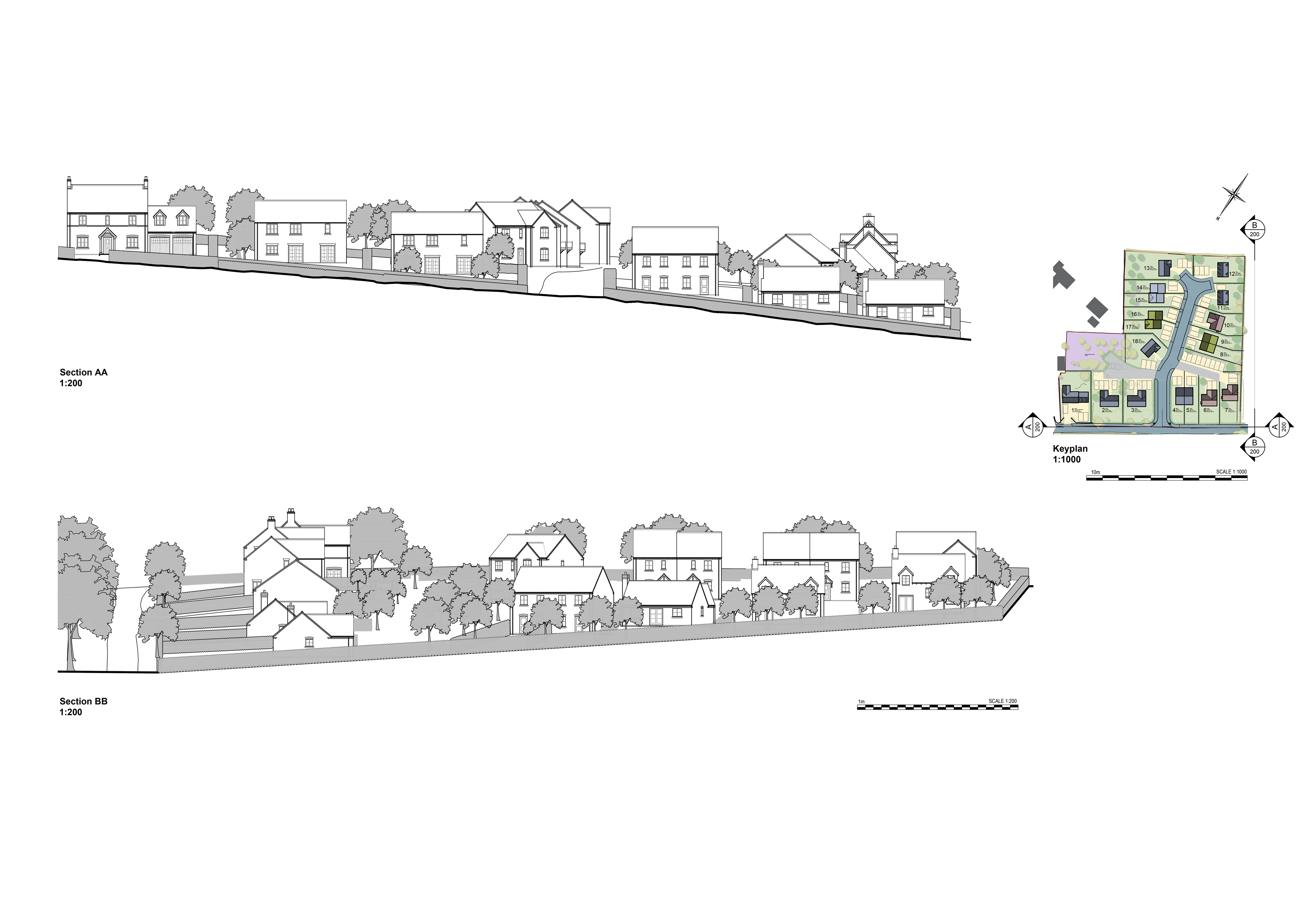Site Section