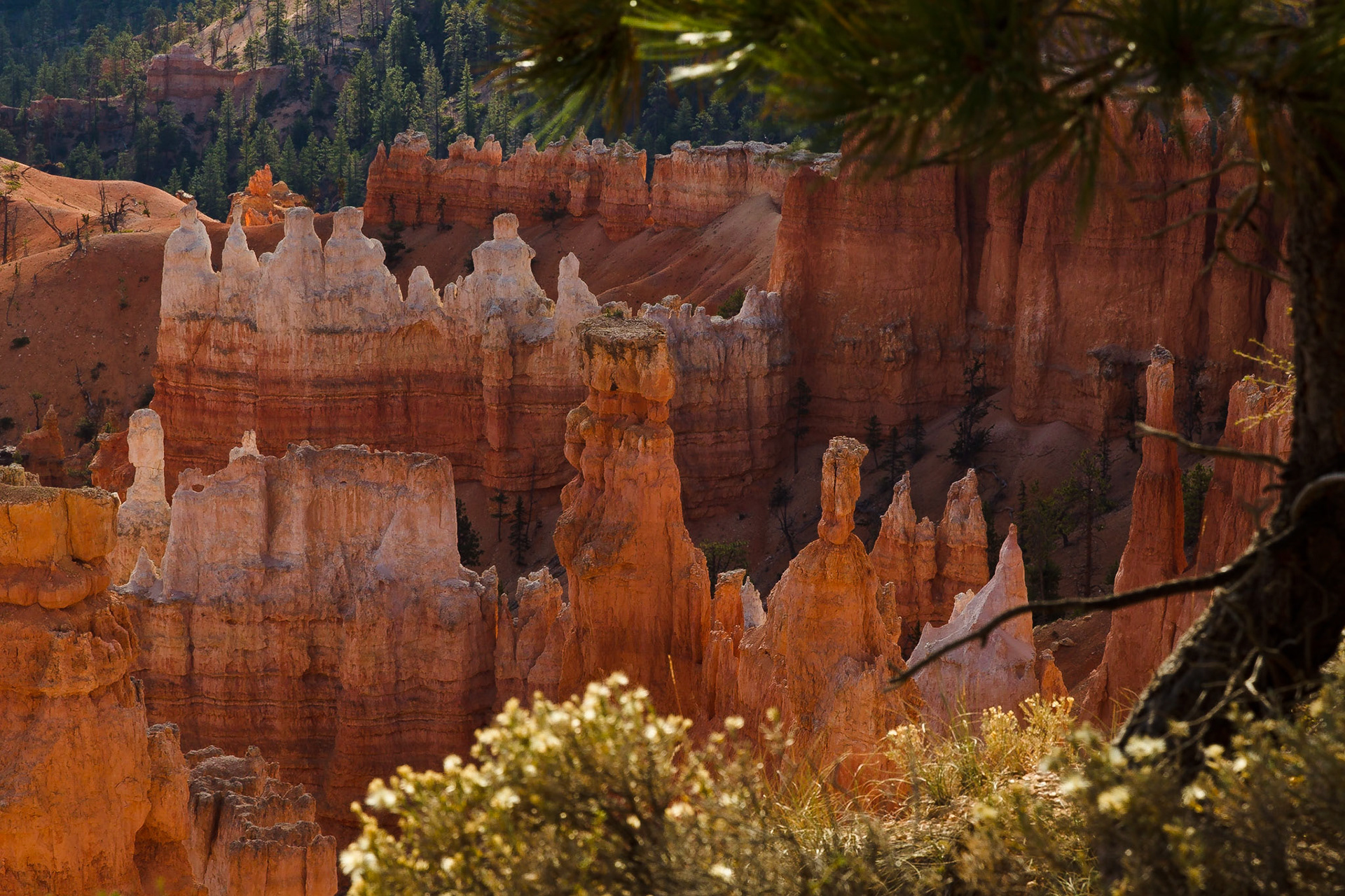 Bryce NP Utah