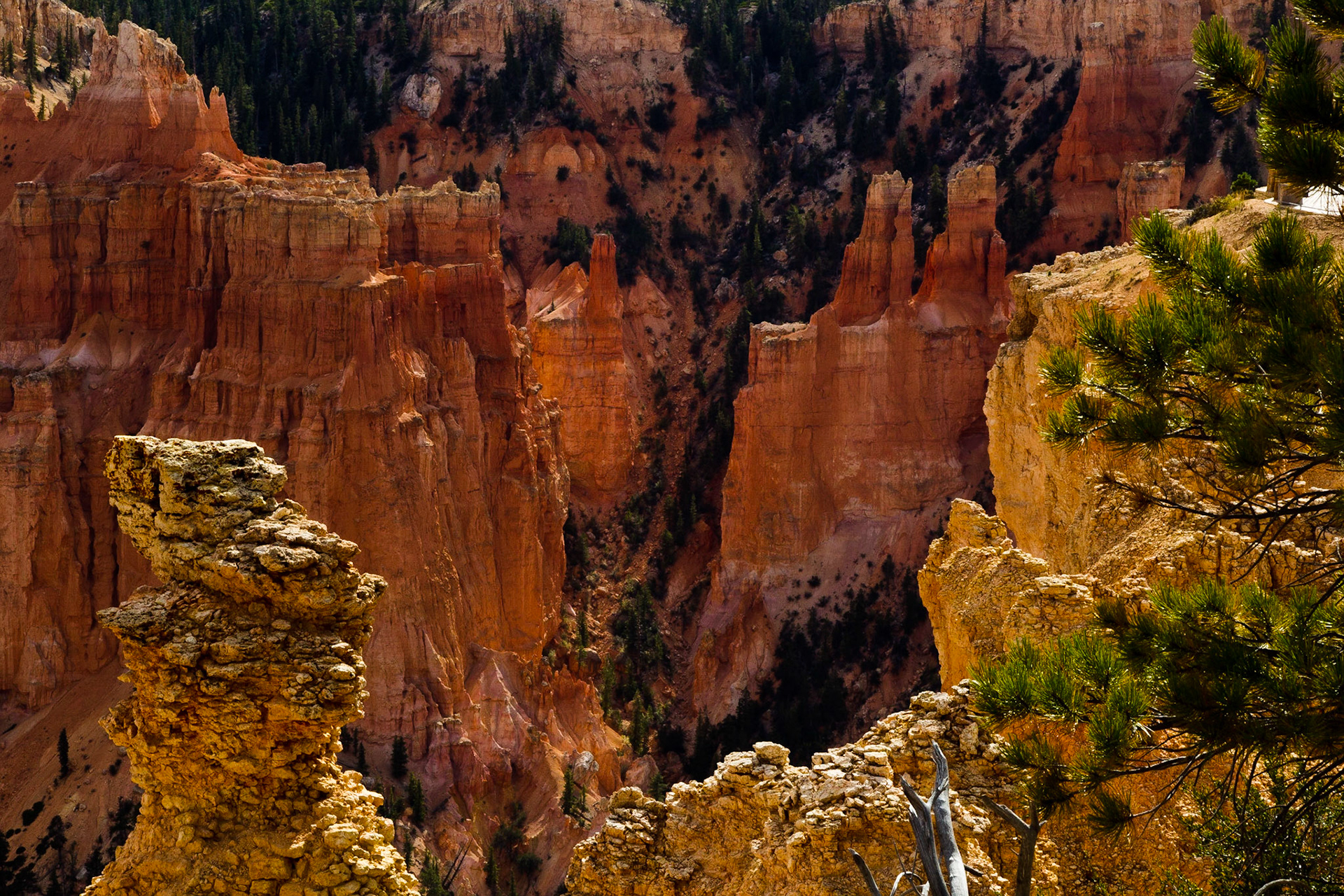 Bryce NP Utah