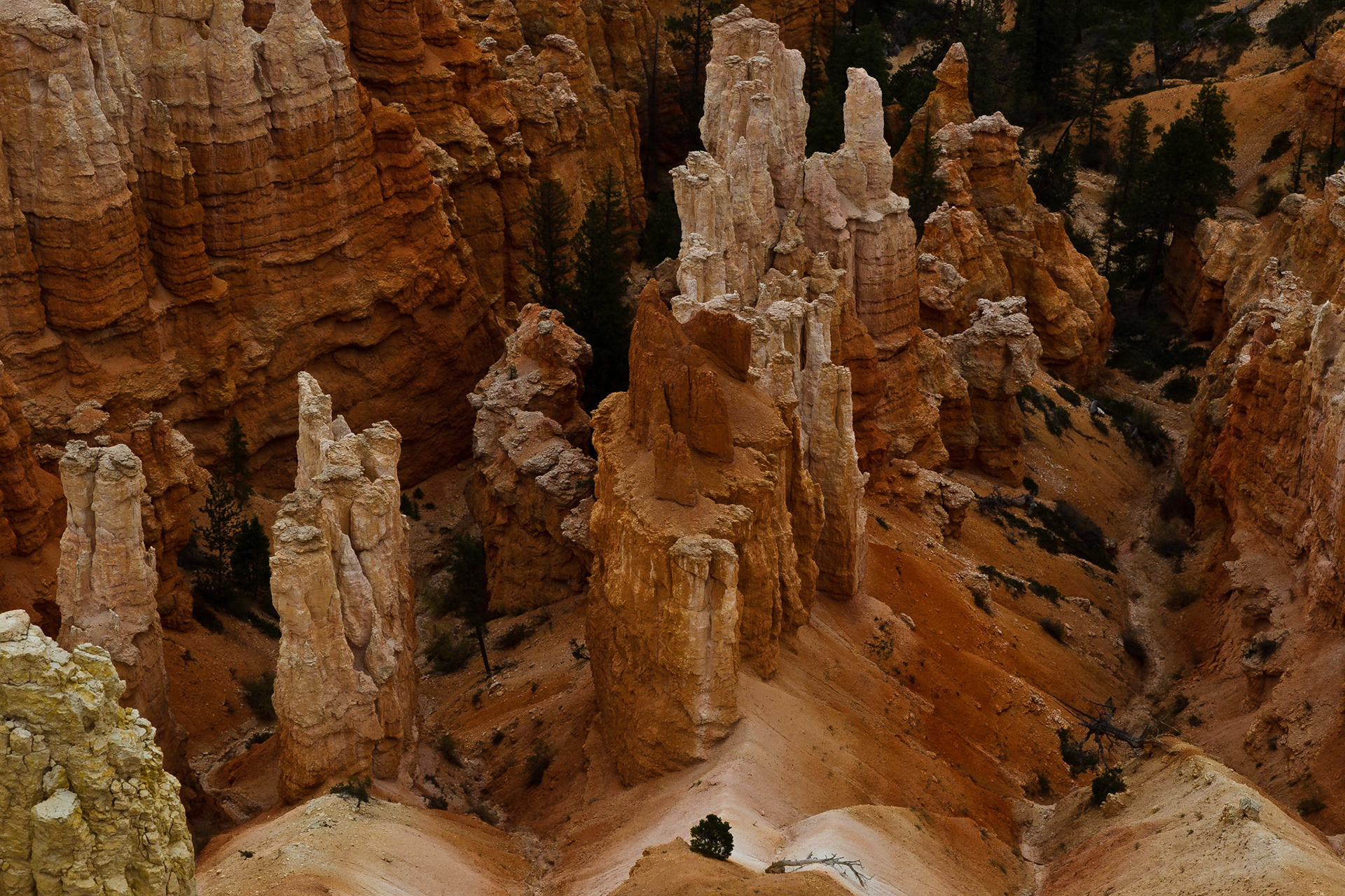 Bryce NP Utah