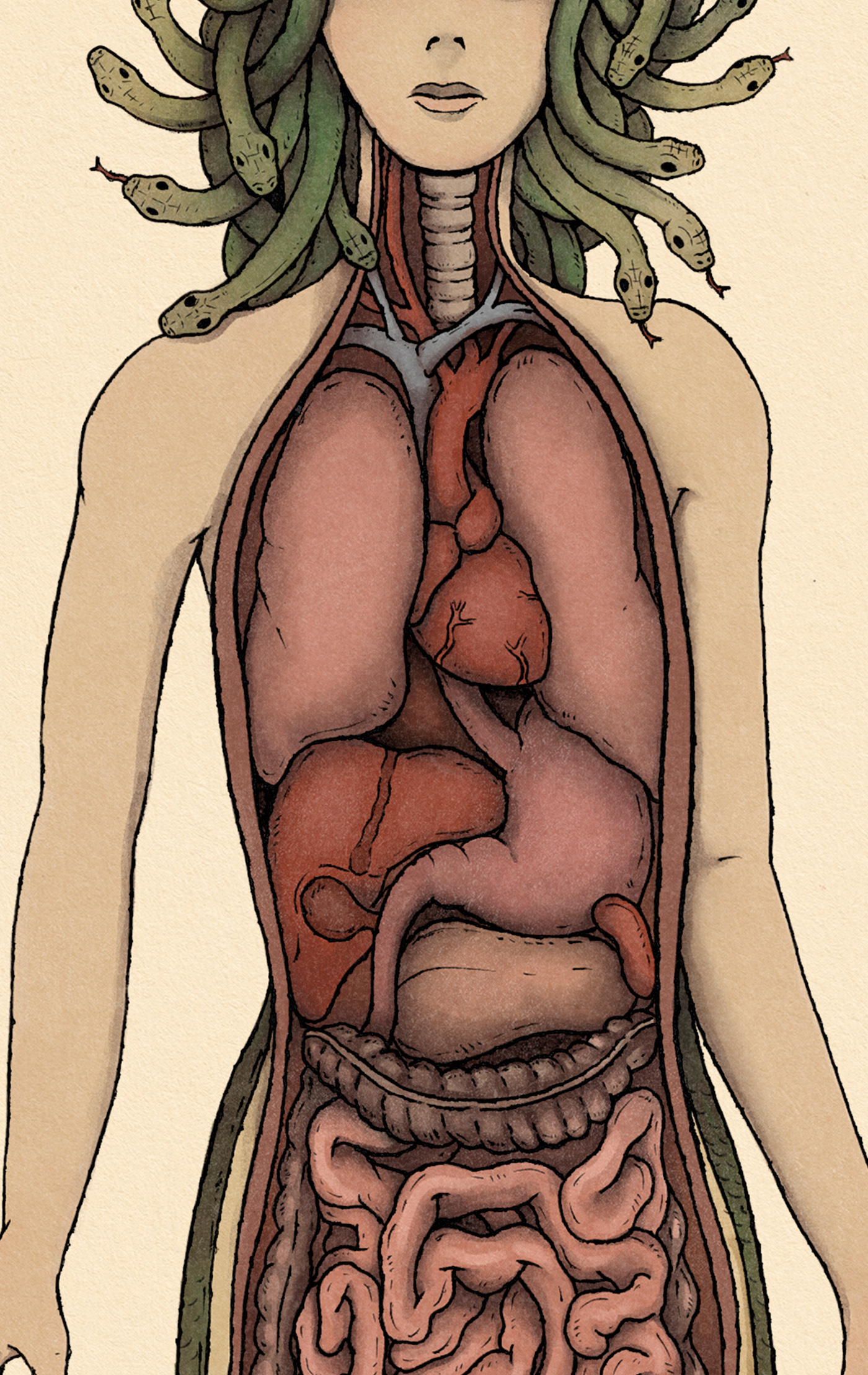 Thiago Corrêa - The Anatomy of a Gorgon