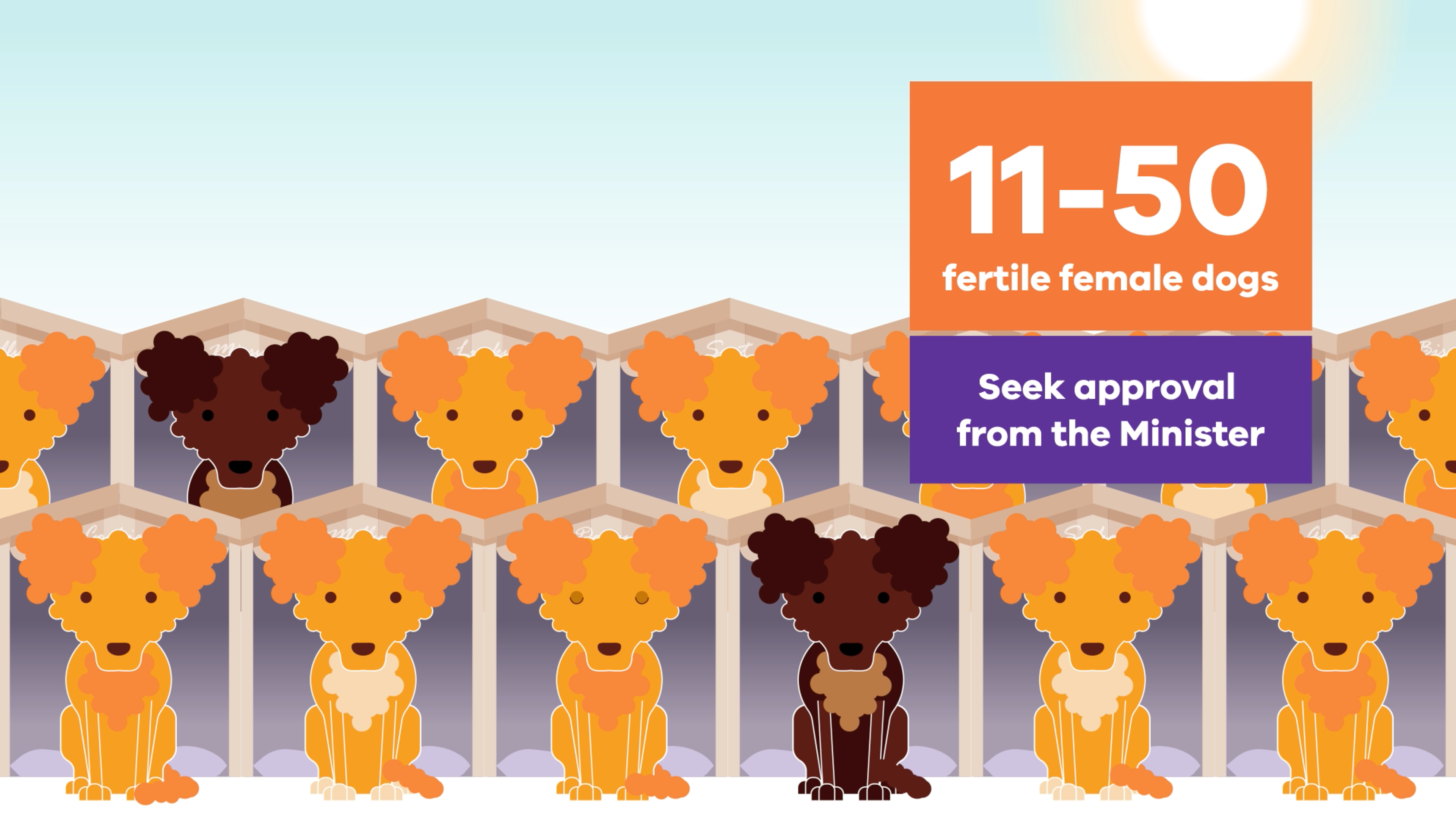 matter-pet-breeding-laws-animation