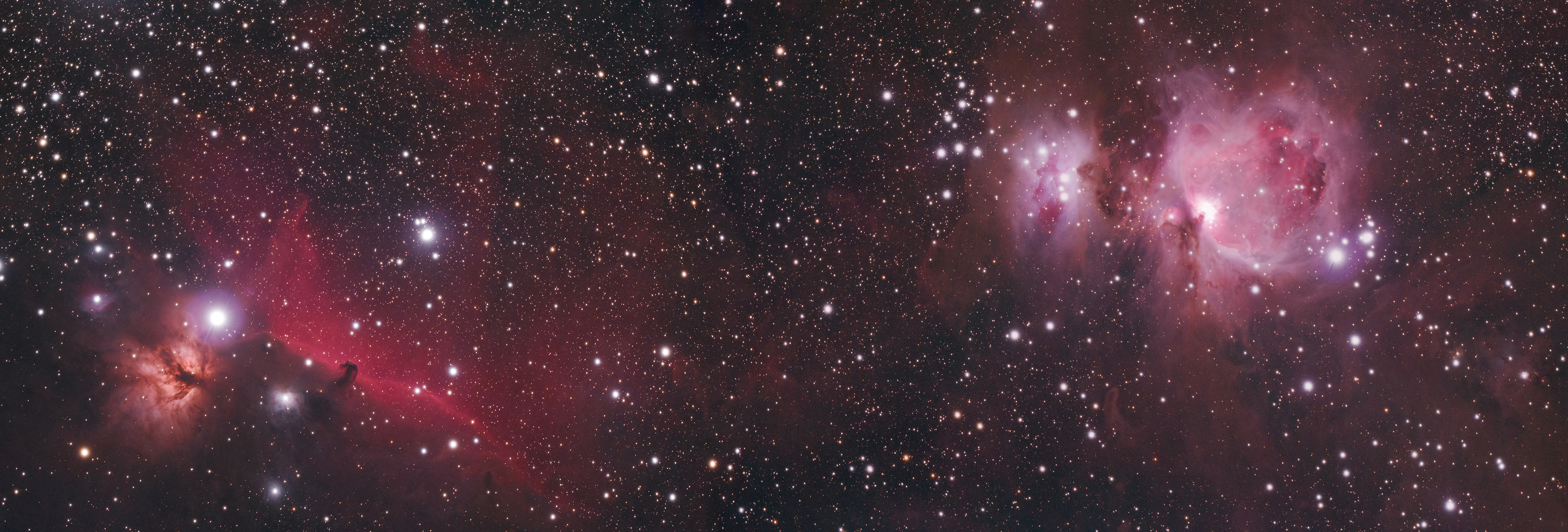Horsehead and Orion Nebula