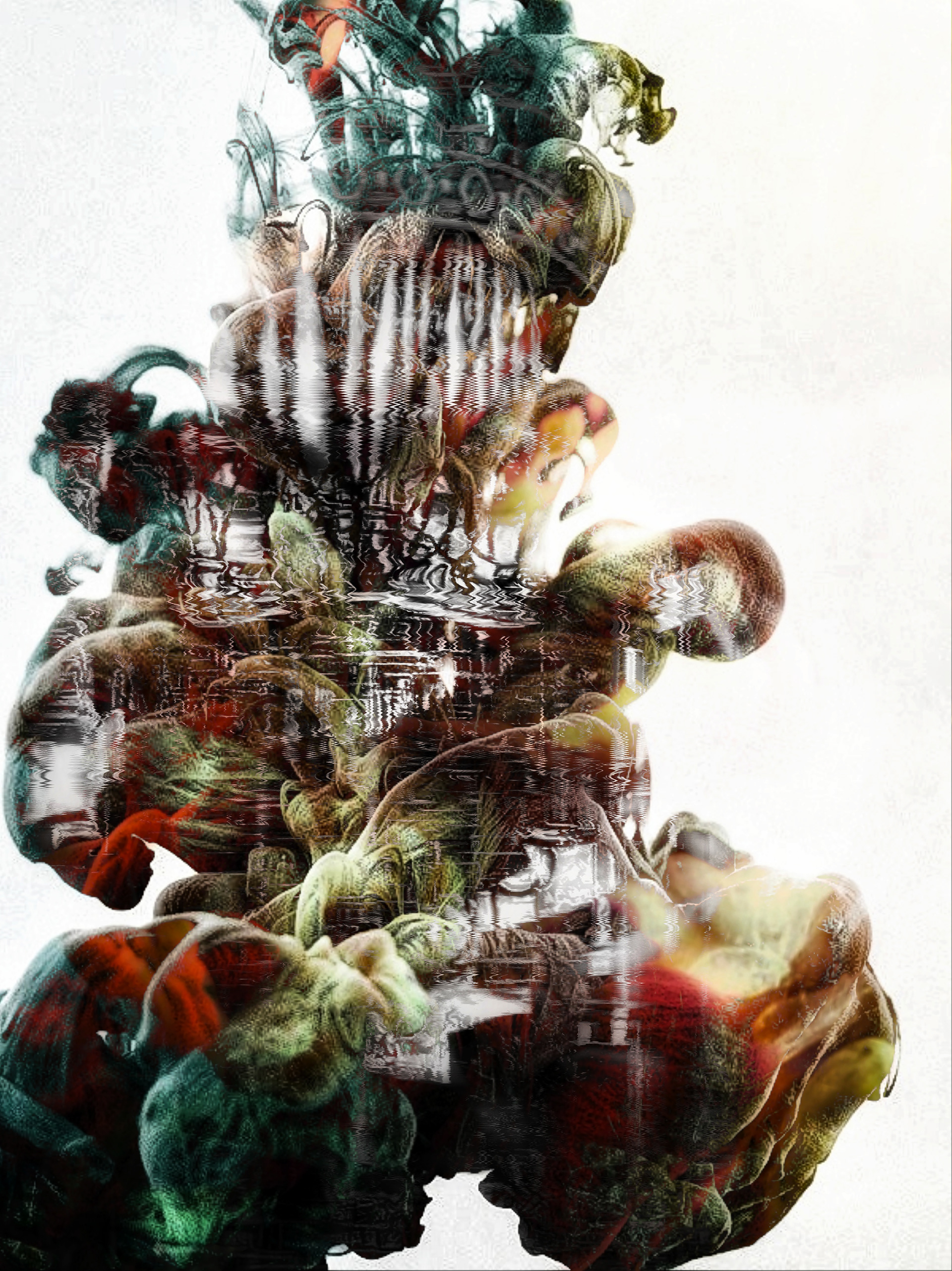 Mycelium - Photography & Digital