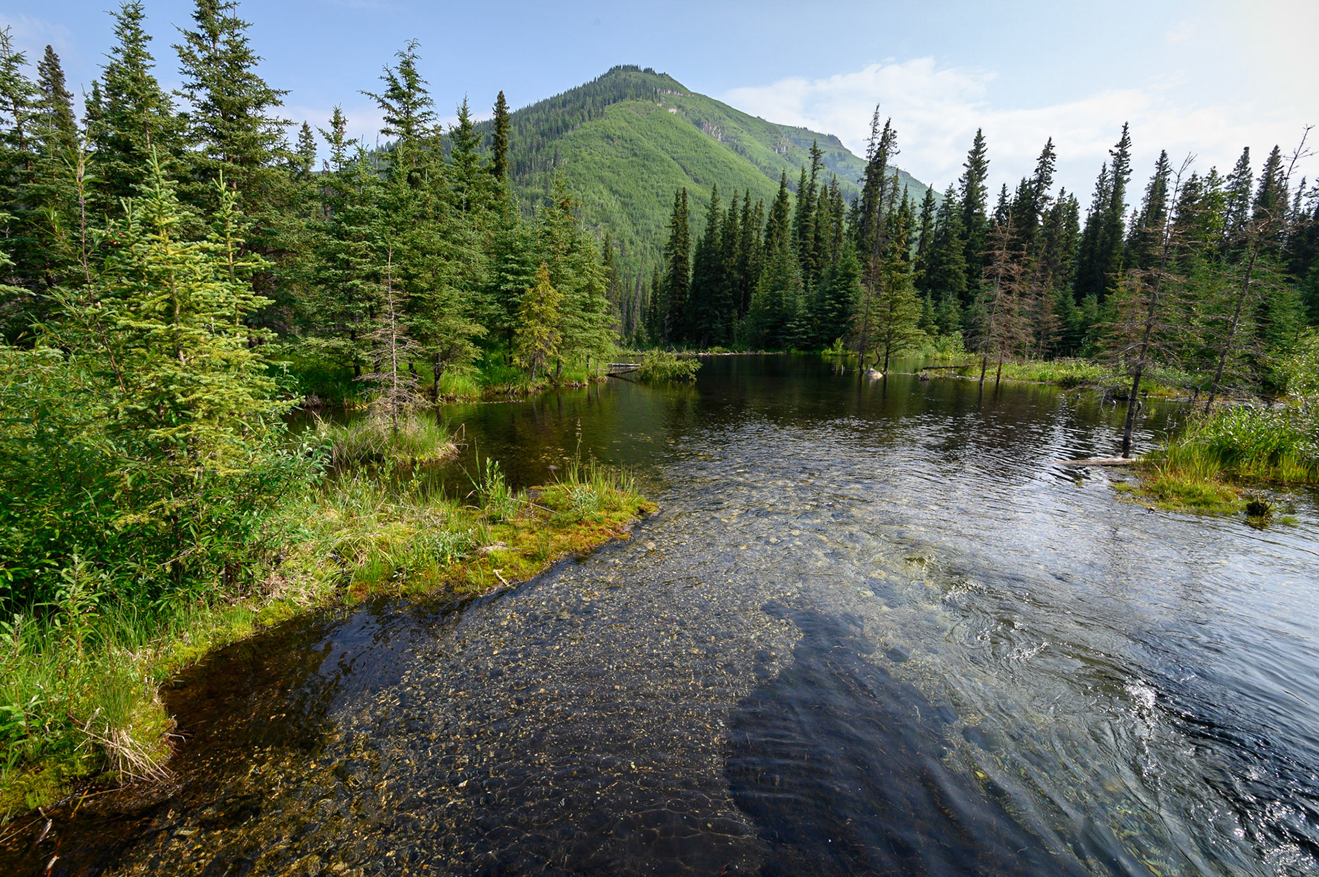 Stream along Alaska Highway, east of Toad River, B.C.