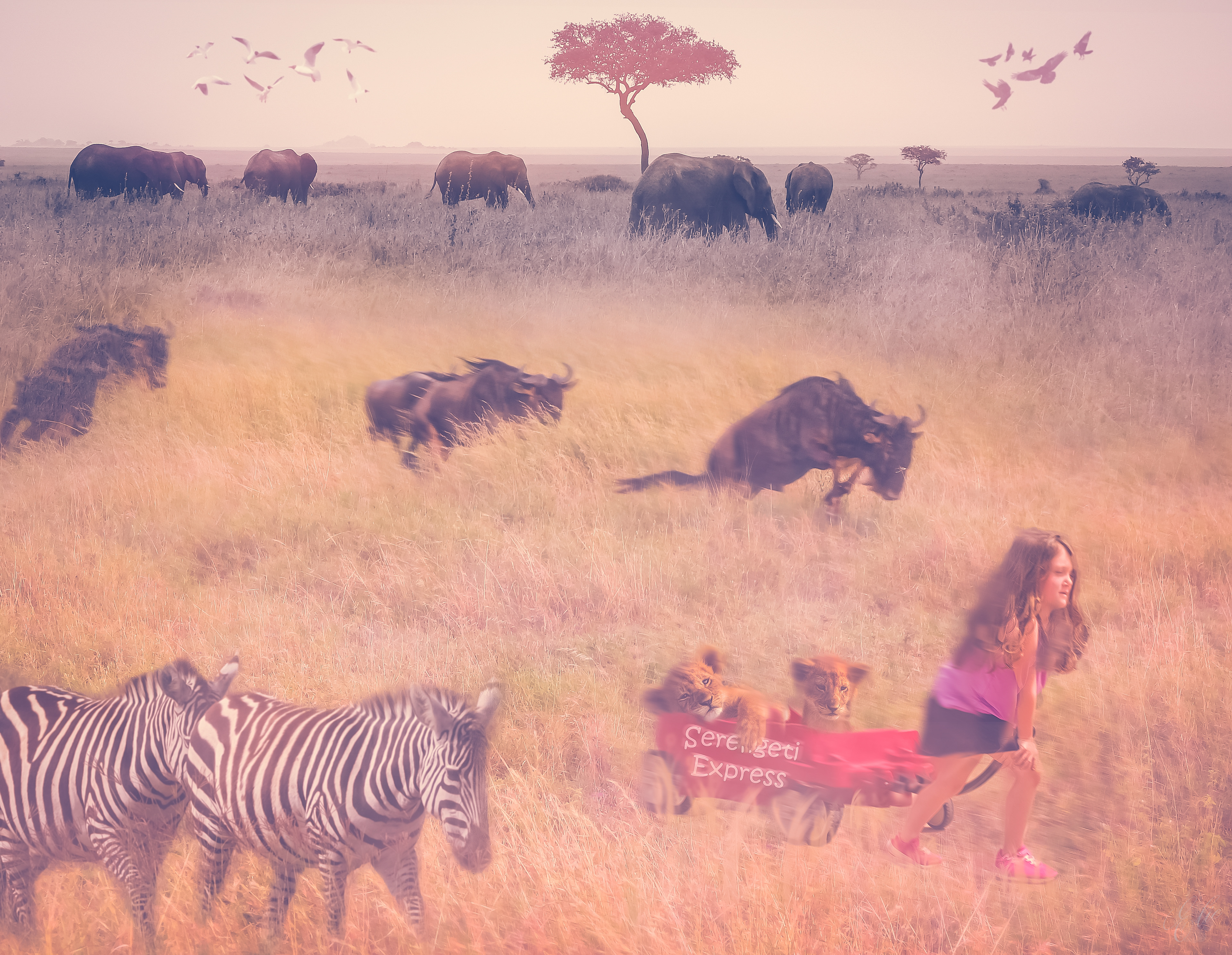 Great Migrations