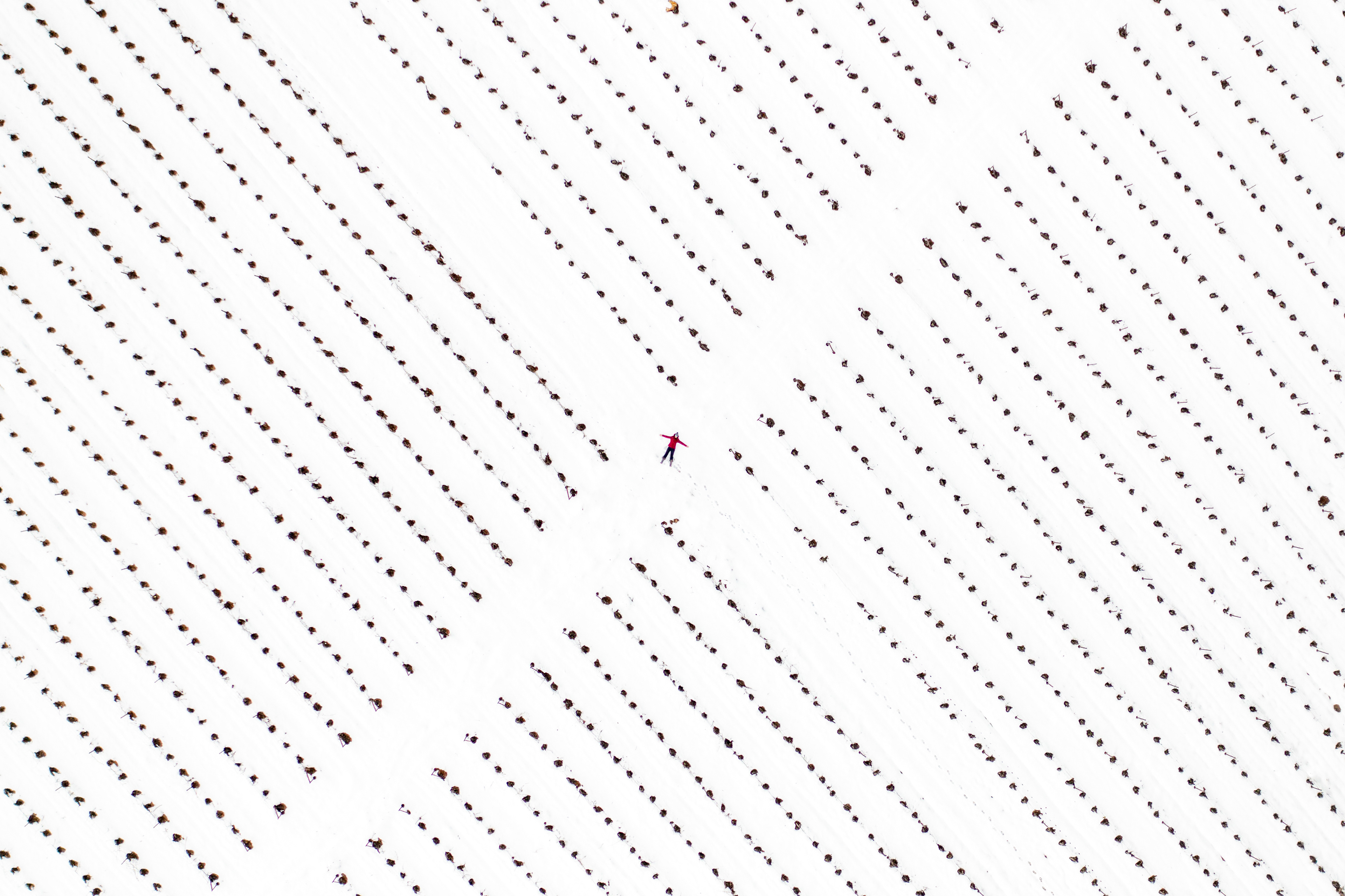 Between the Dots 1/3 ©Rights Reserved