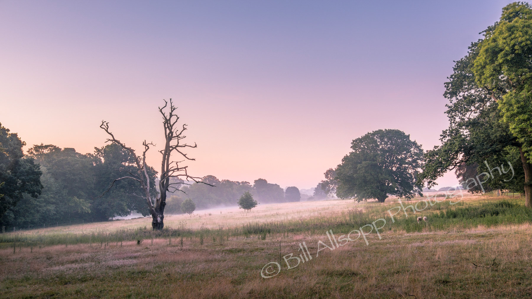 A misty start to the day over Suffolk fields.