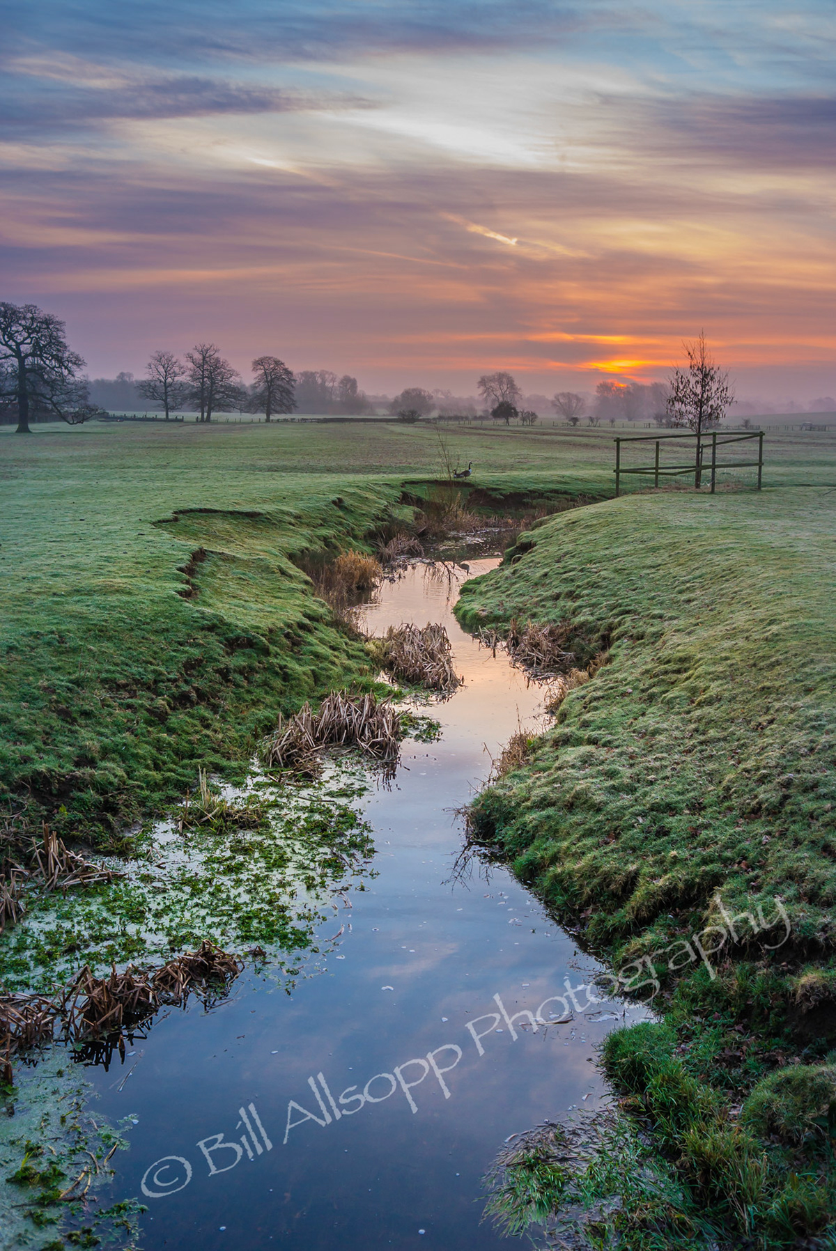 Dawn at Wistow, Leicestershire.