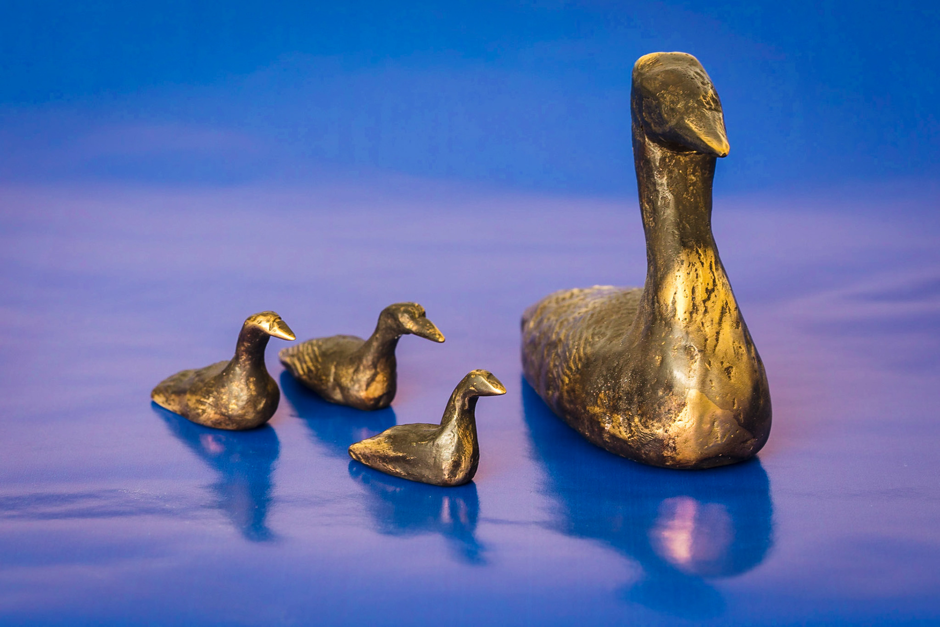 Copper waterbirds