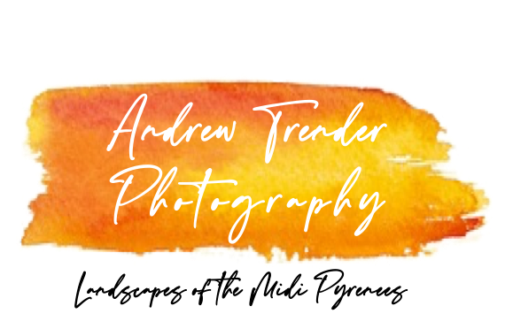 Andrew Trender