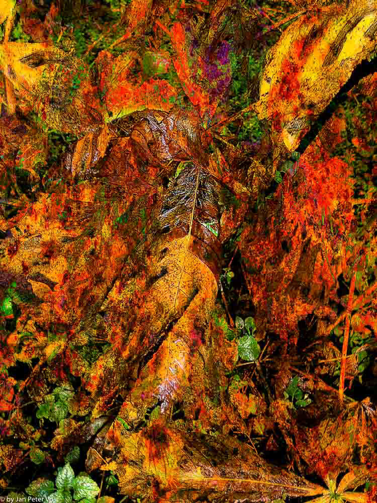 Splendor of Autumn