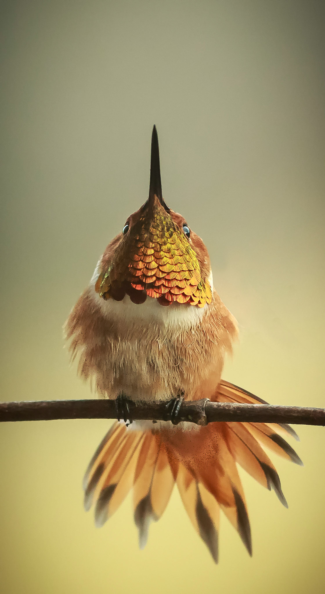 It's Spring Time: thinks are looking up.