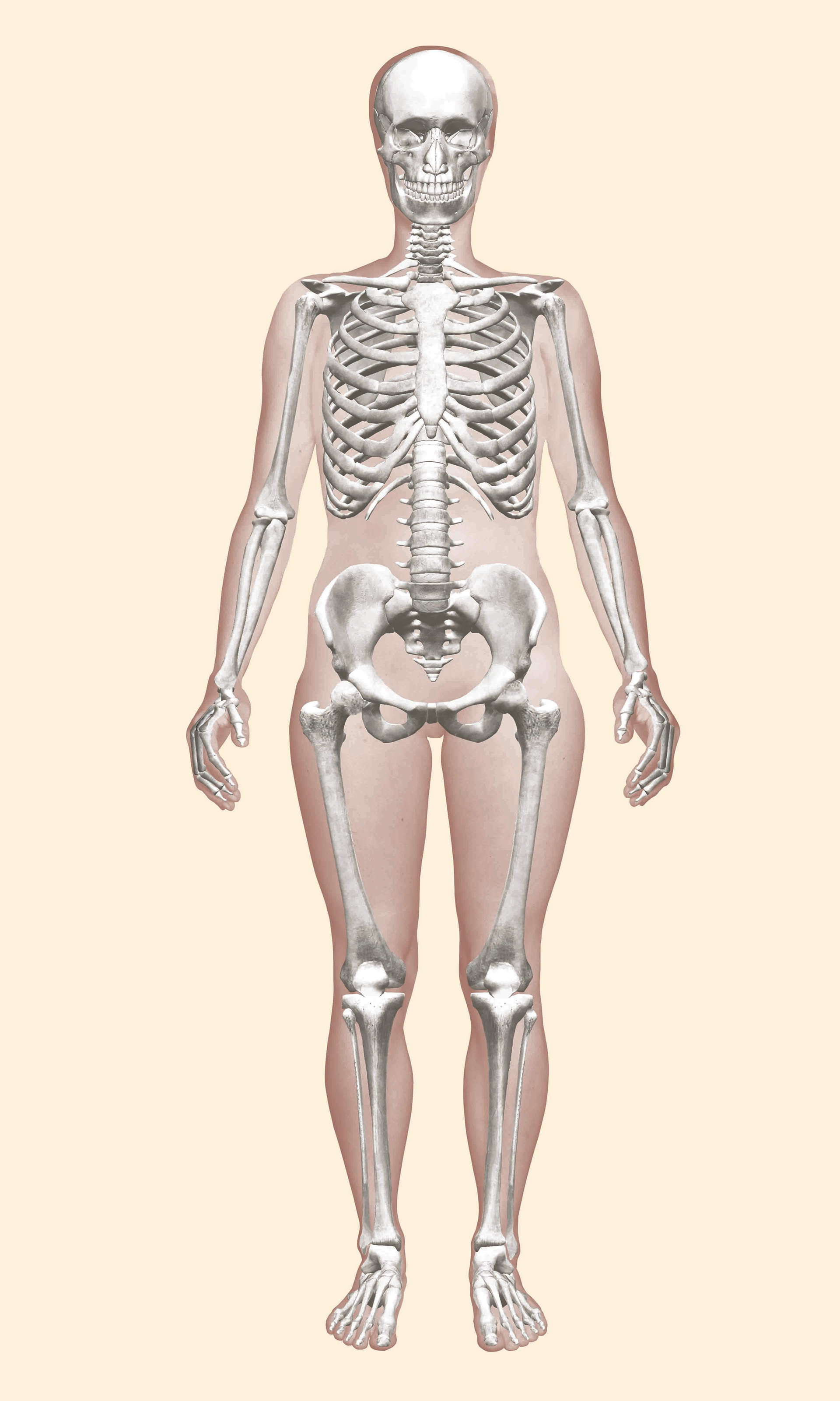 figura z anfasu