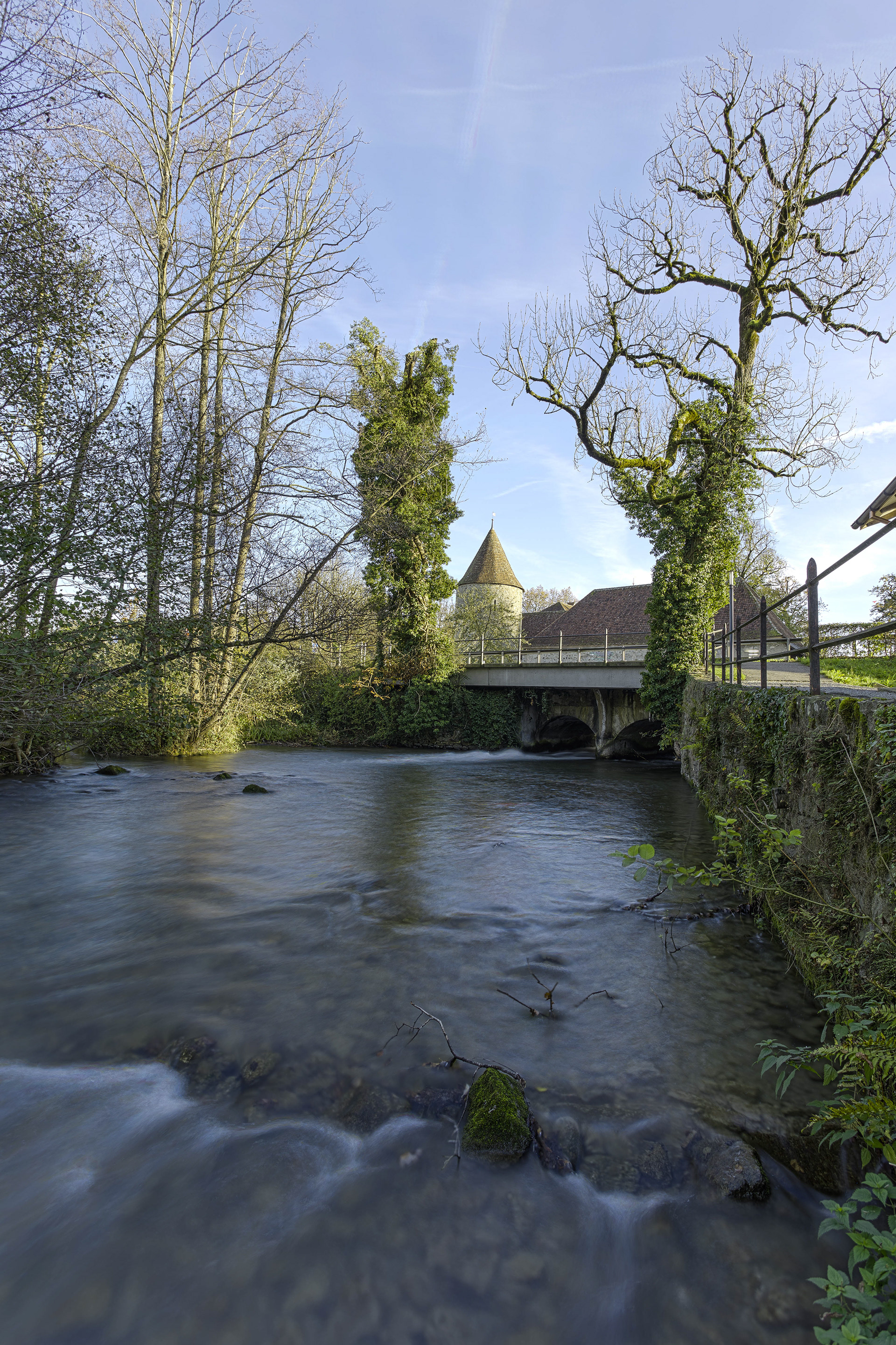 Affluent du lac de Hallwil