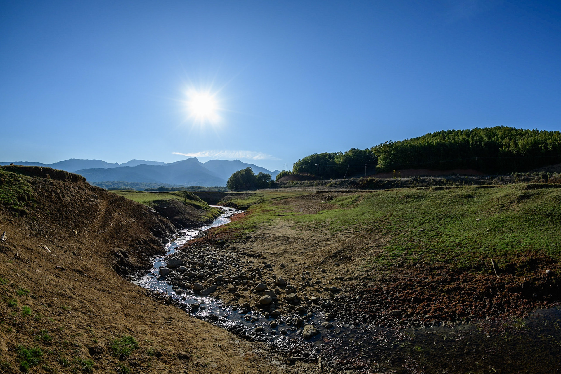 Plastira Lake River foal 