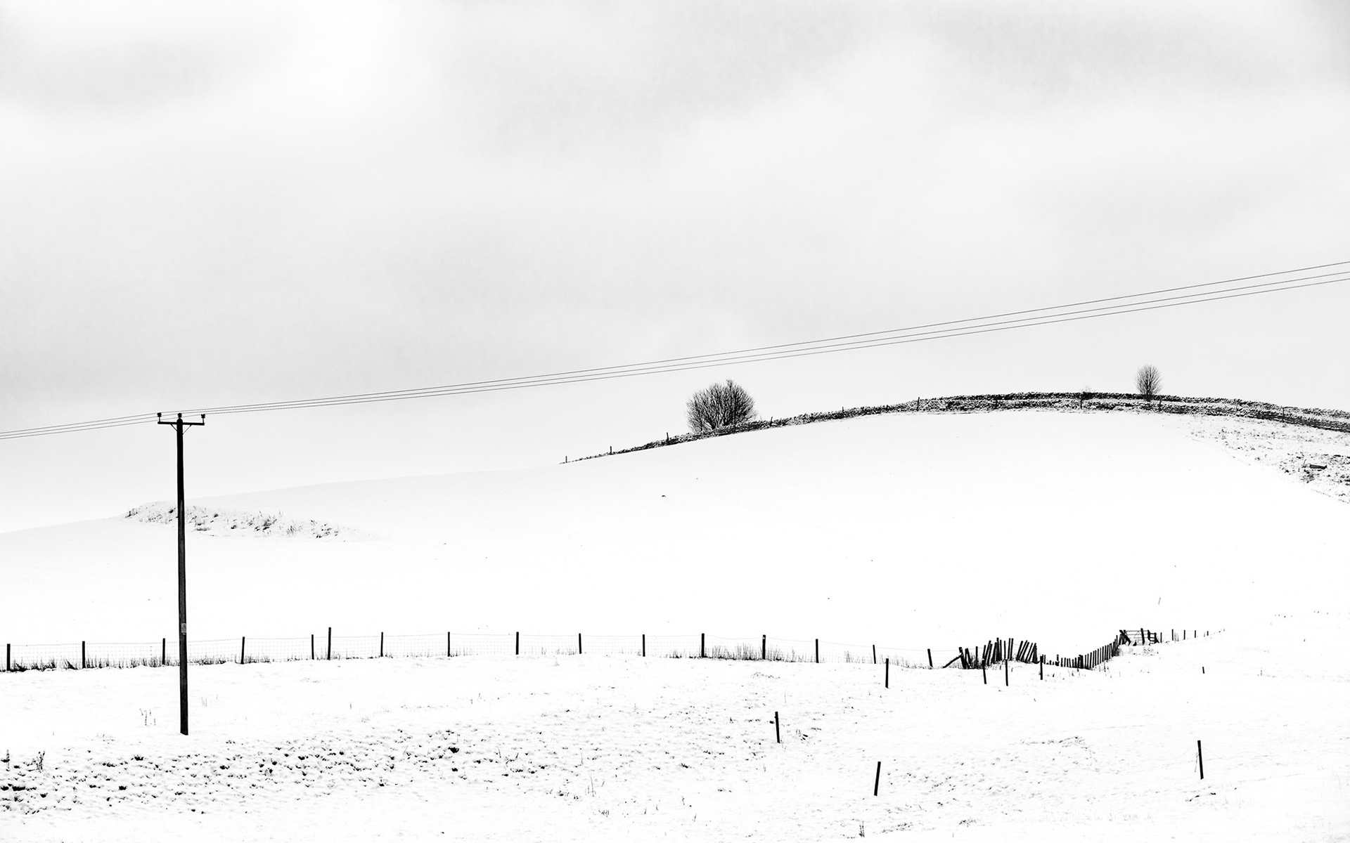 Whinny Hill
