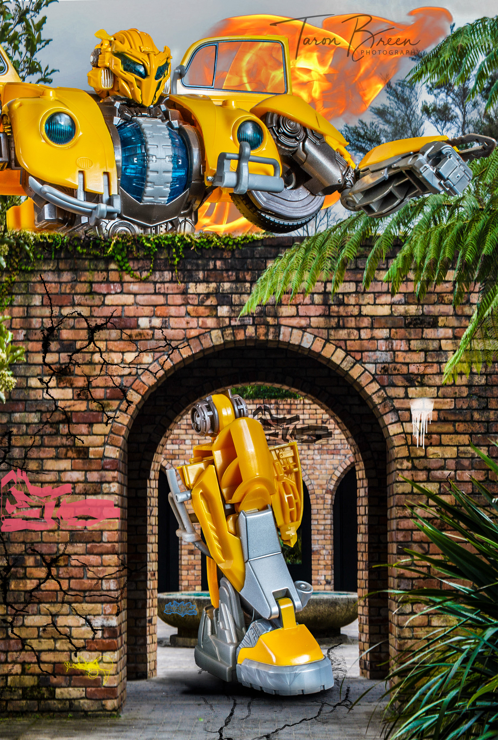 Original Bumblebee Image