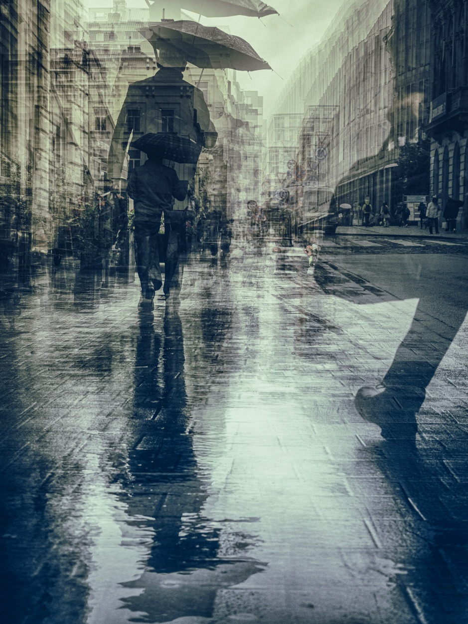 "and again, this morning..." - limited edition of 8