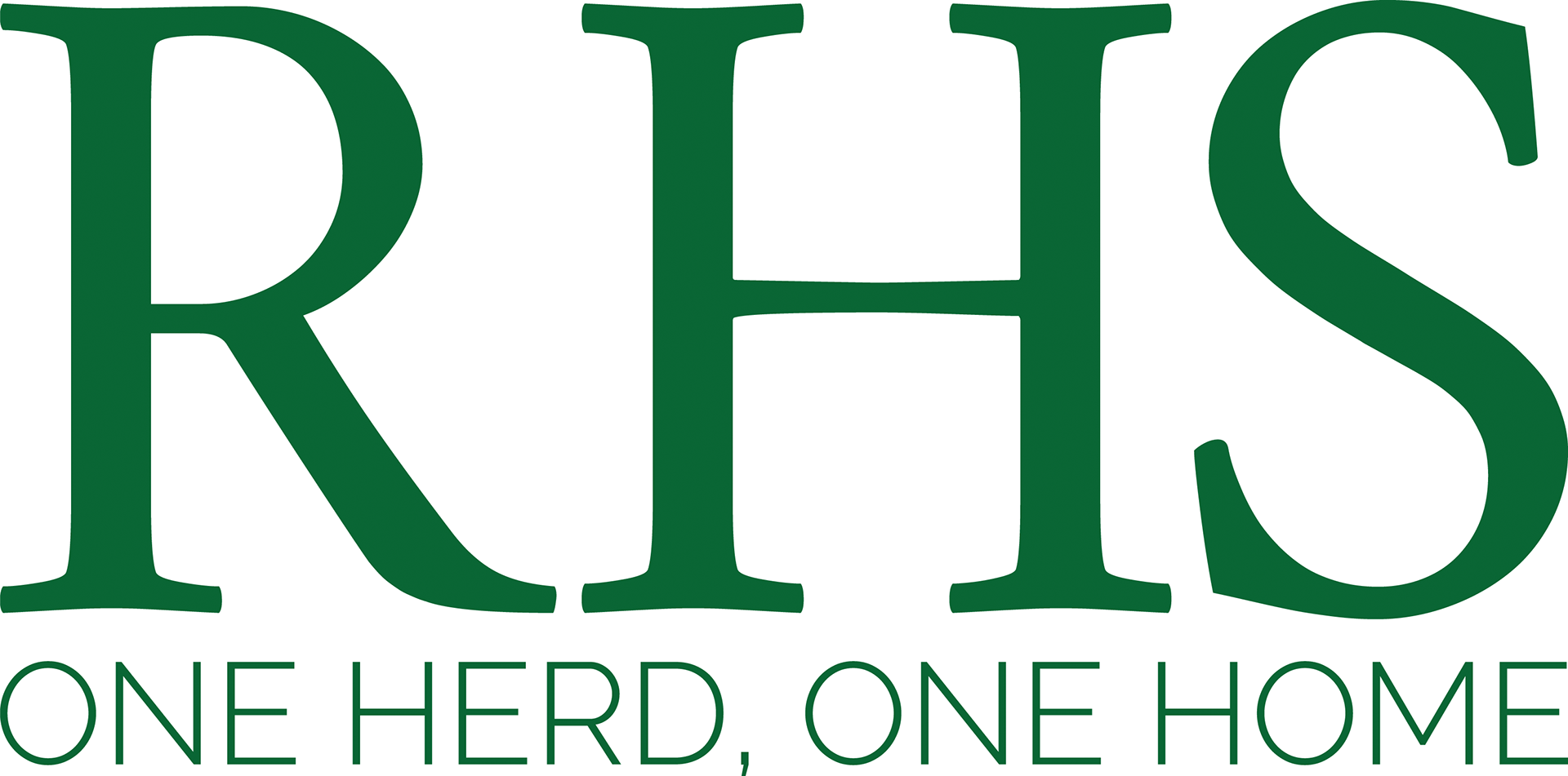 Eisinger Design - Redmond HS Branding